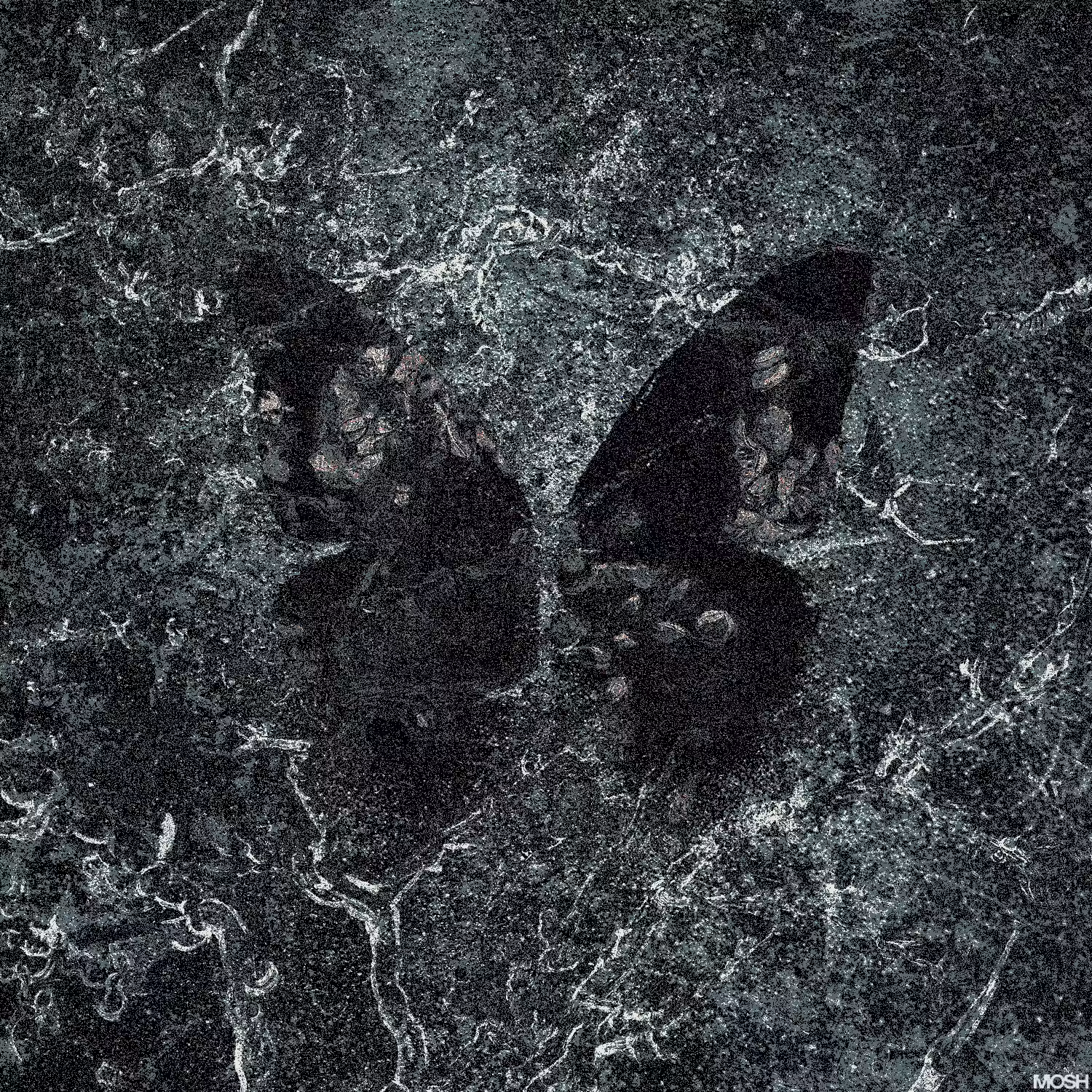 Organic Decay