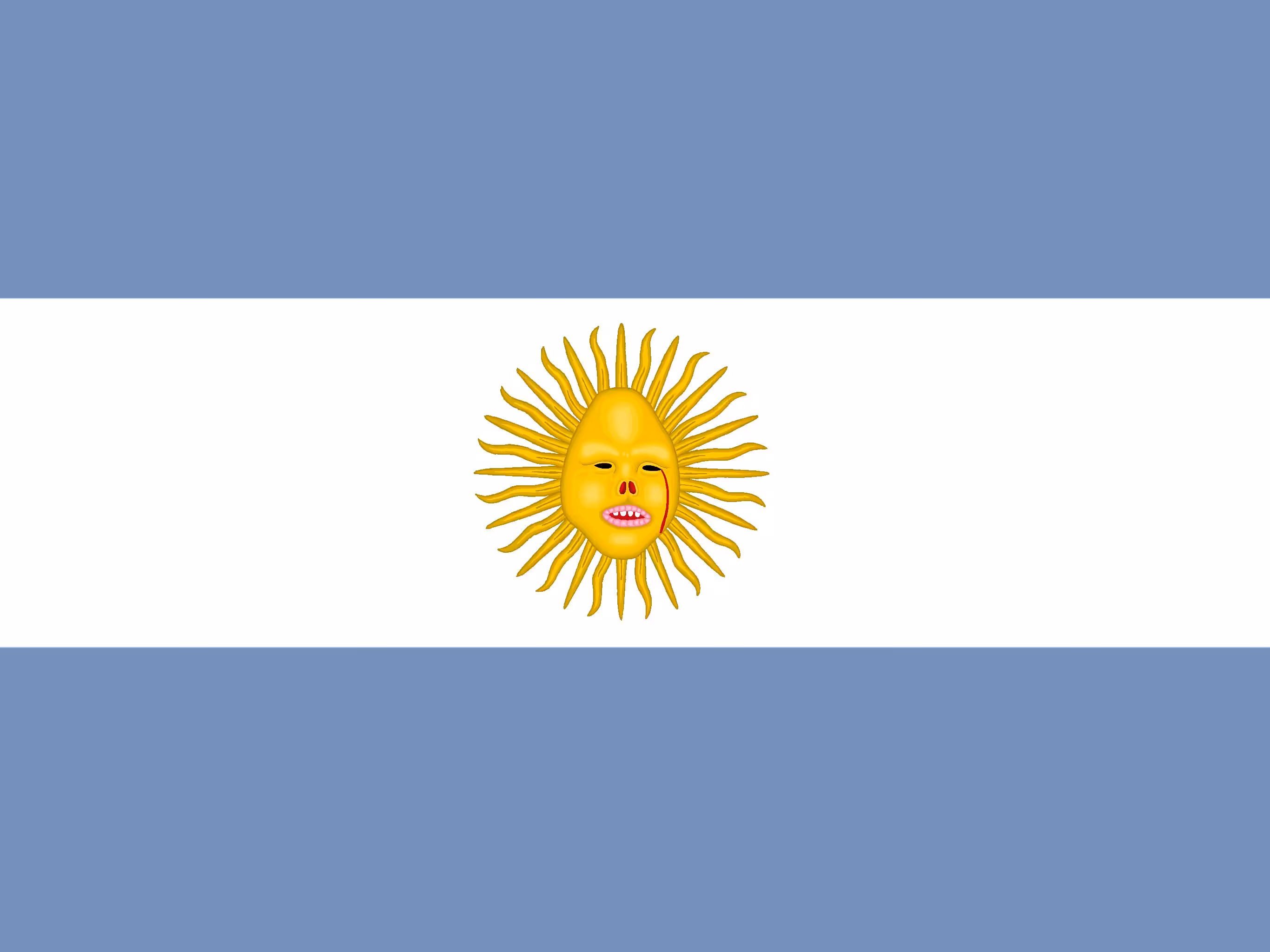 The New Flag Of Argentina