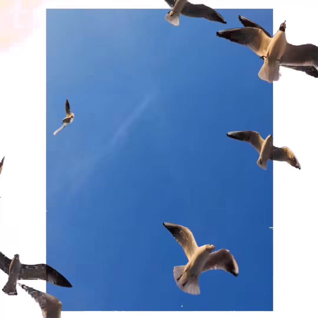 beyond the frame°