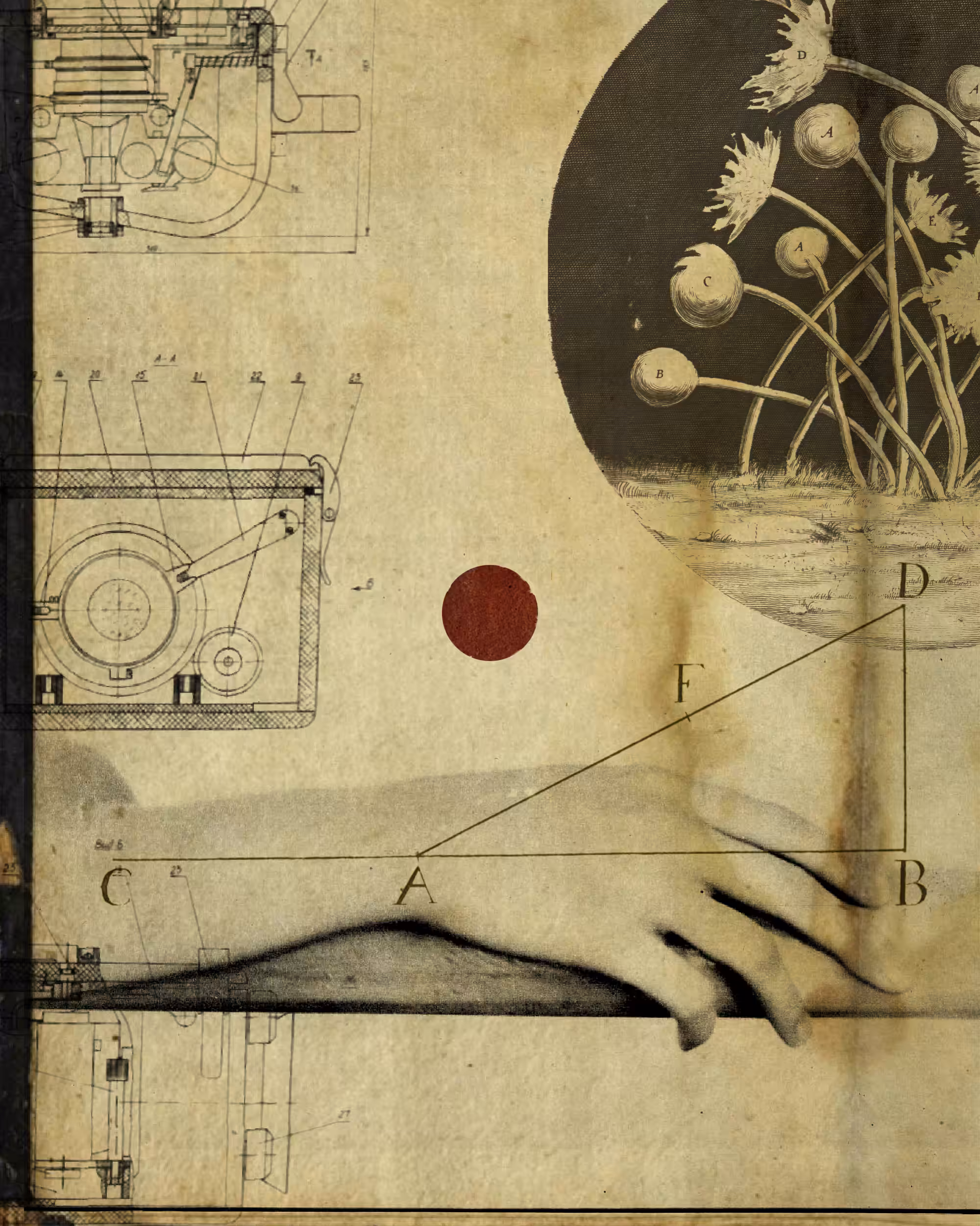 La main prise (ou le point-rouge)