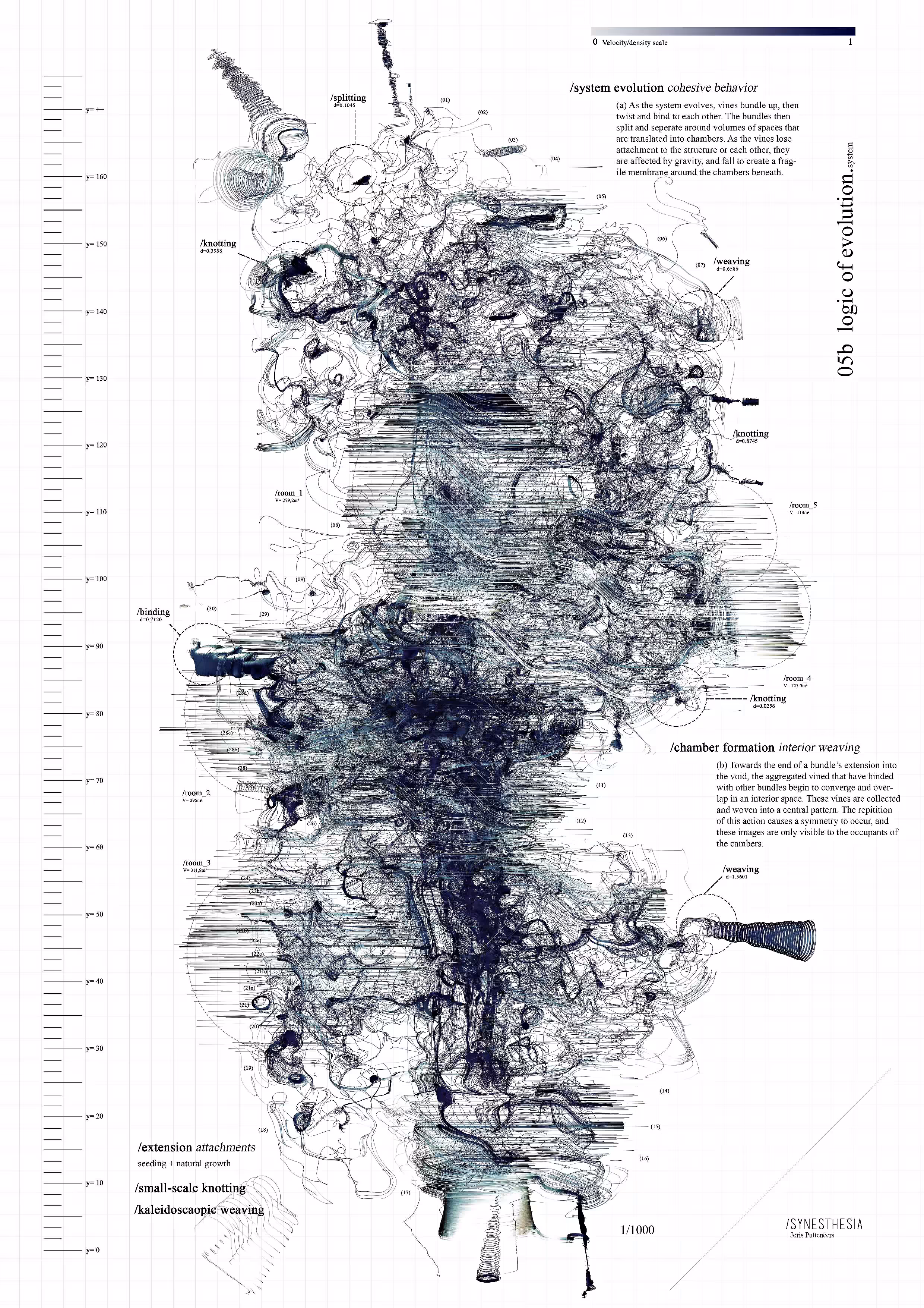 Synesthesia