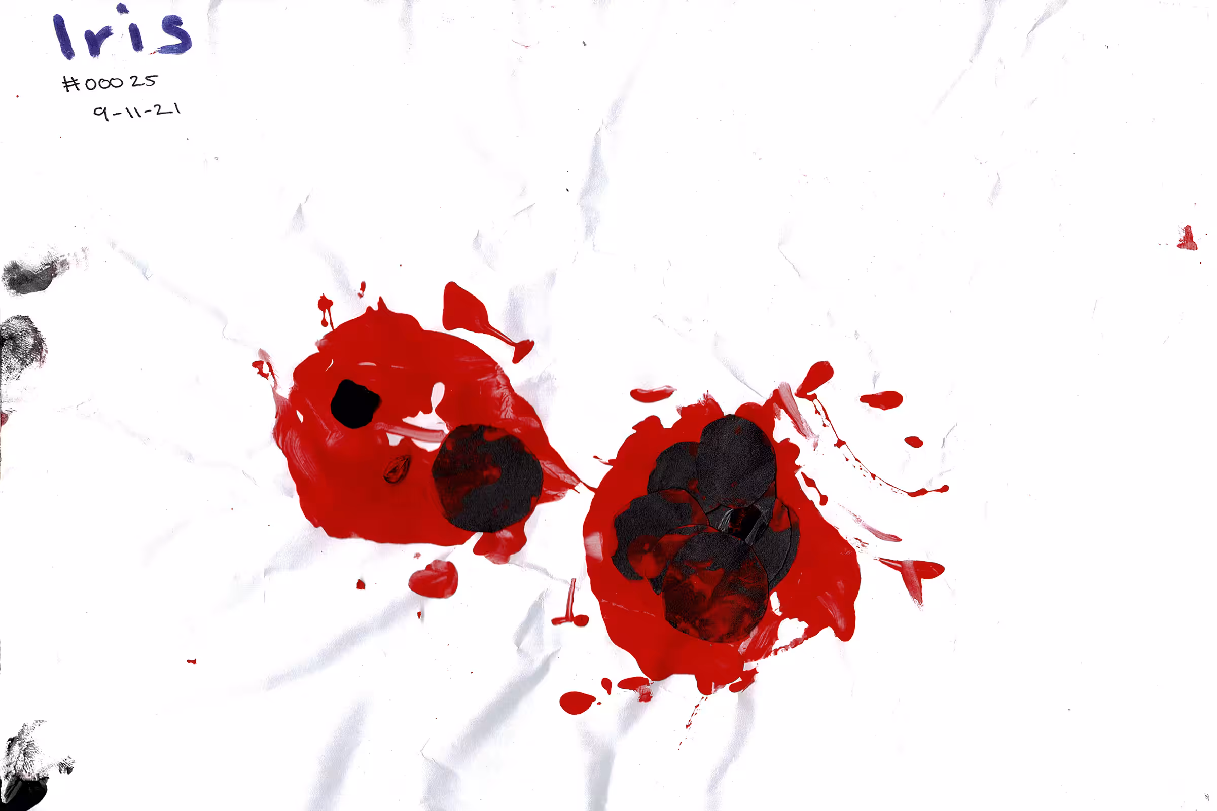 #00025 We will remember them 211109