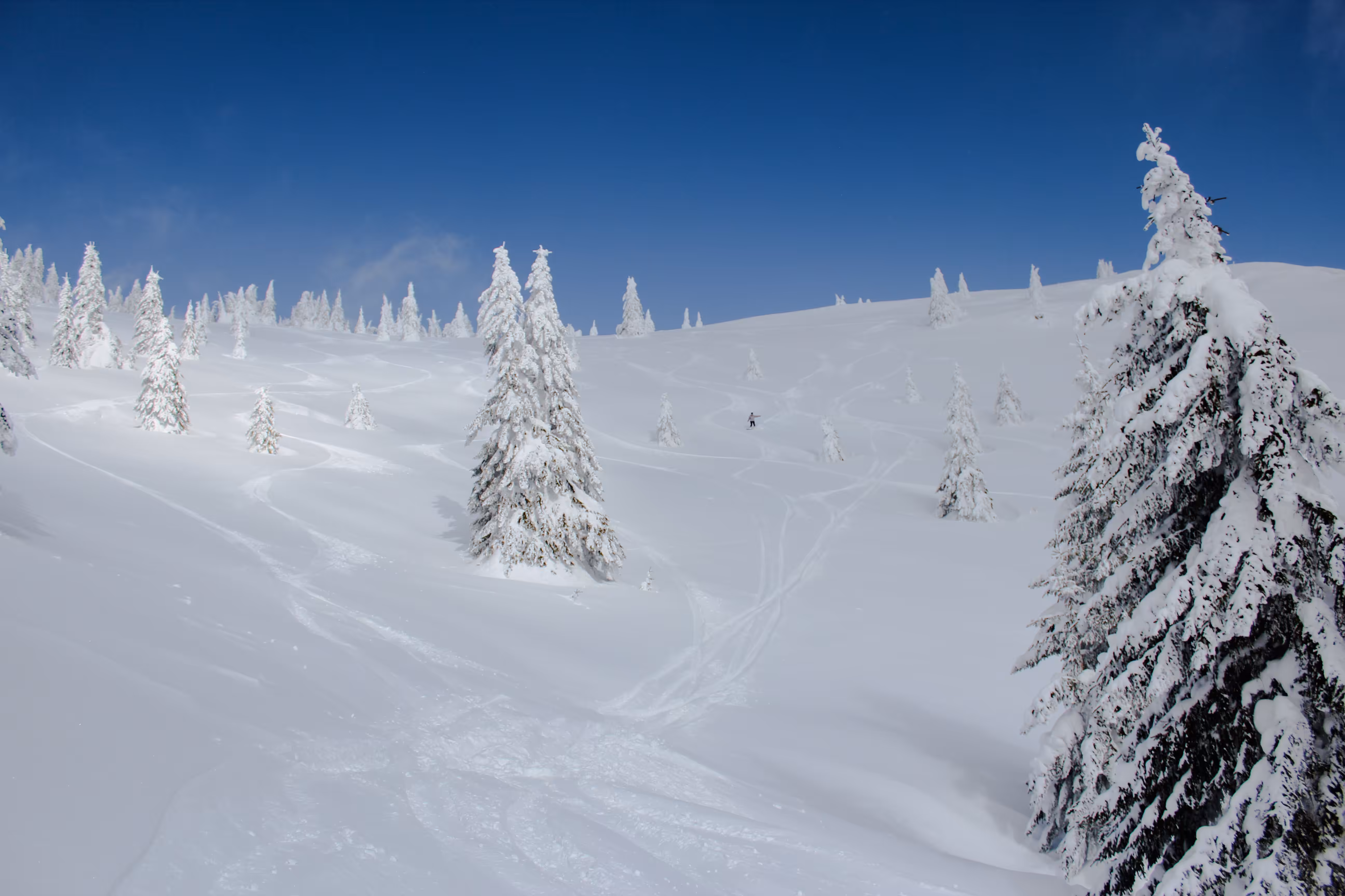 kopaonik