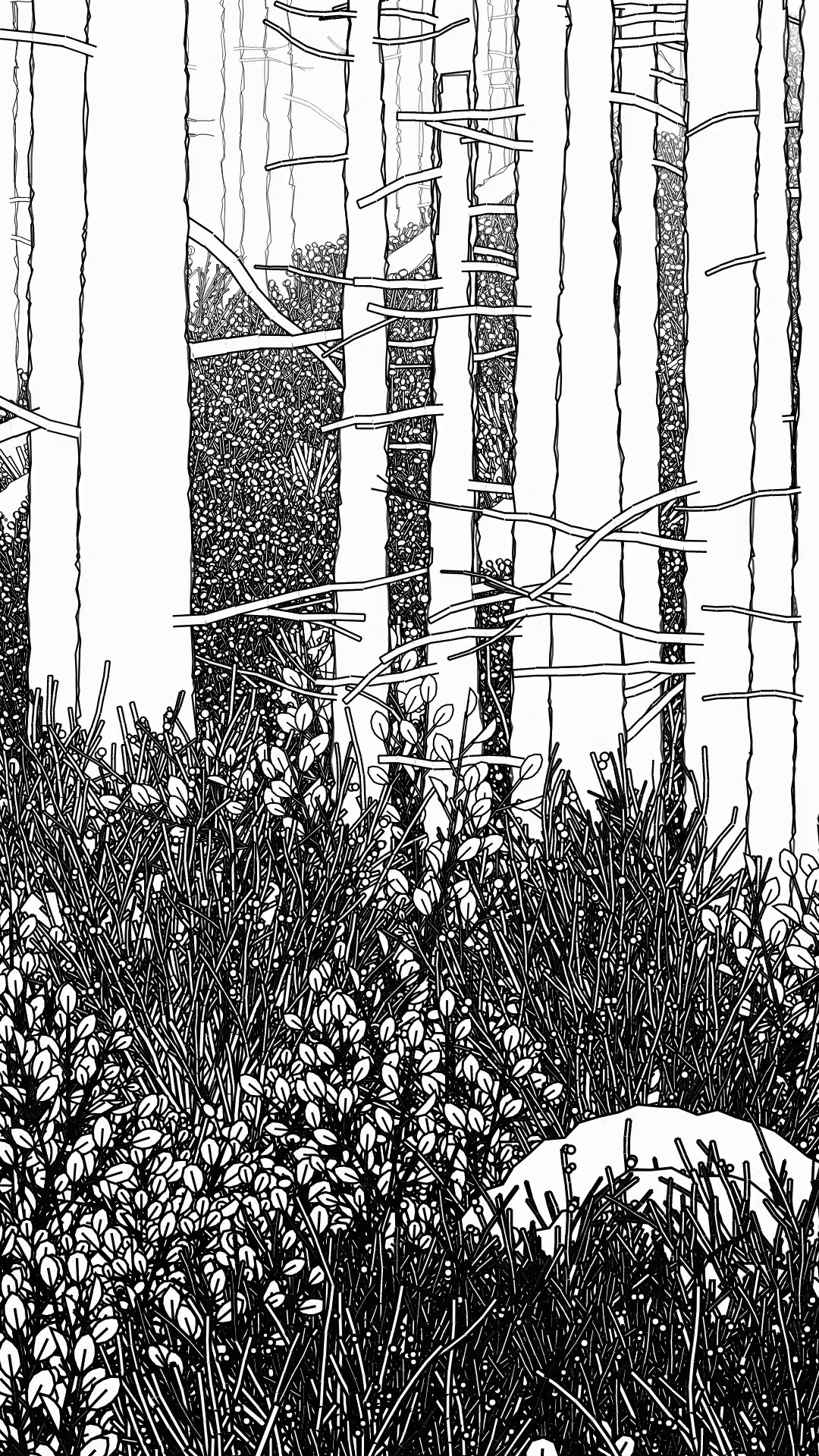 Swedish Forest #279