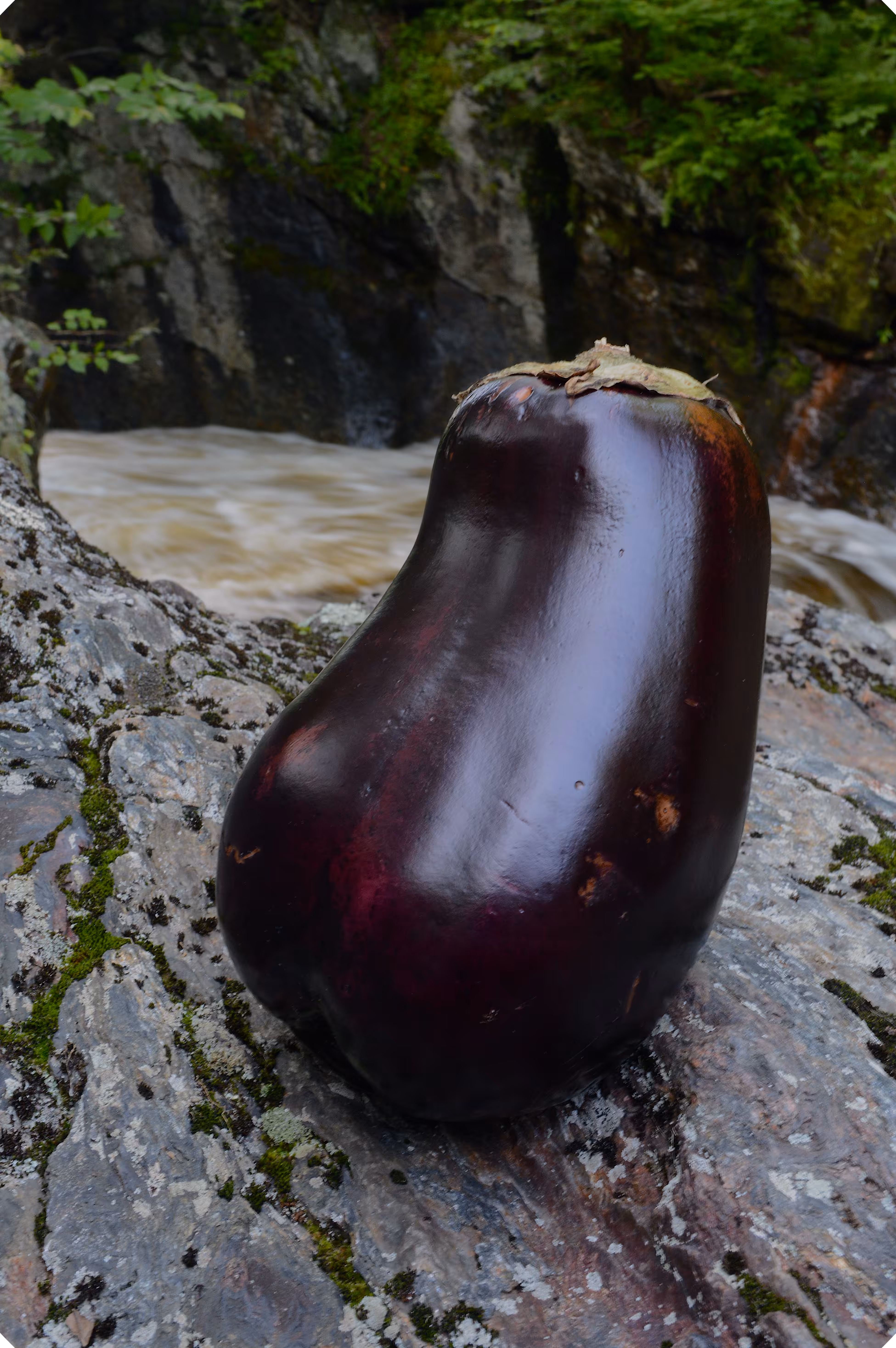 landscape with aubergine