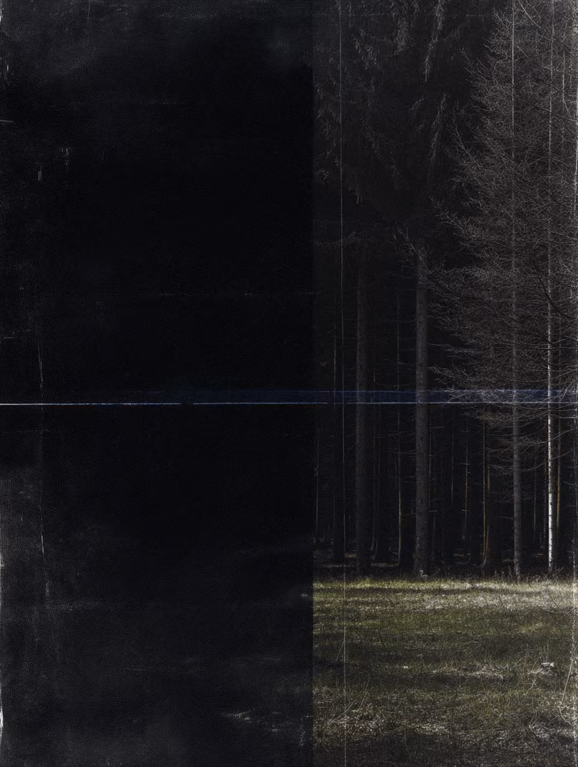 NeLandscape [14]