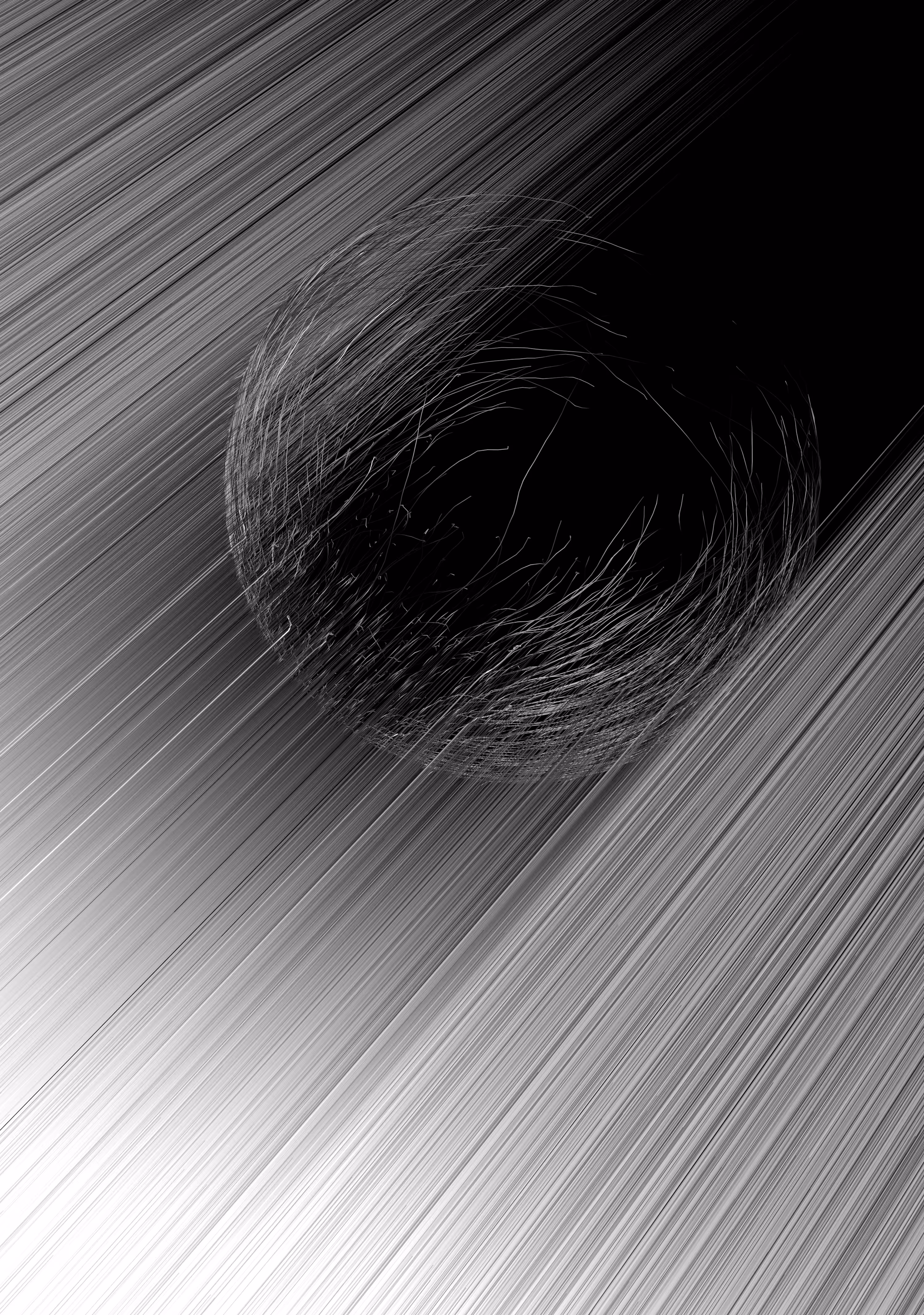 Disturbance