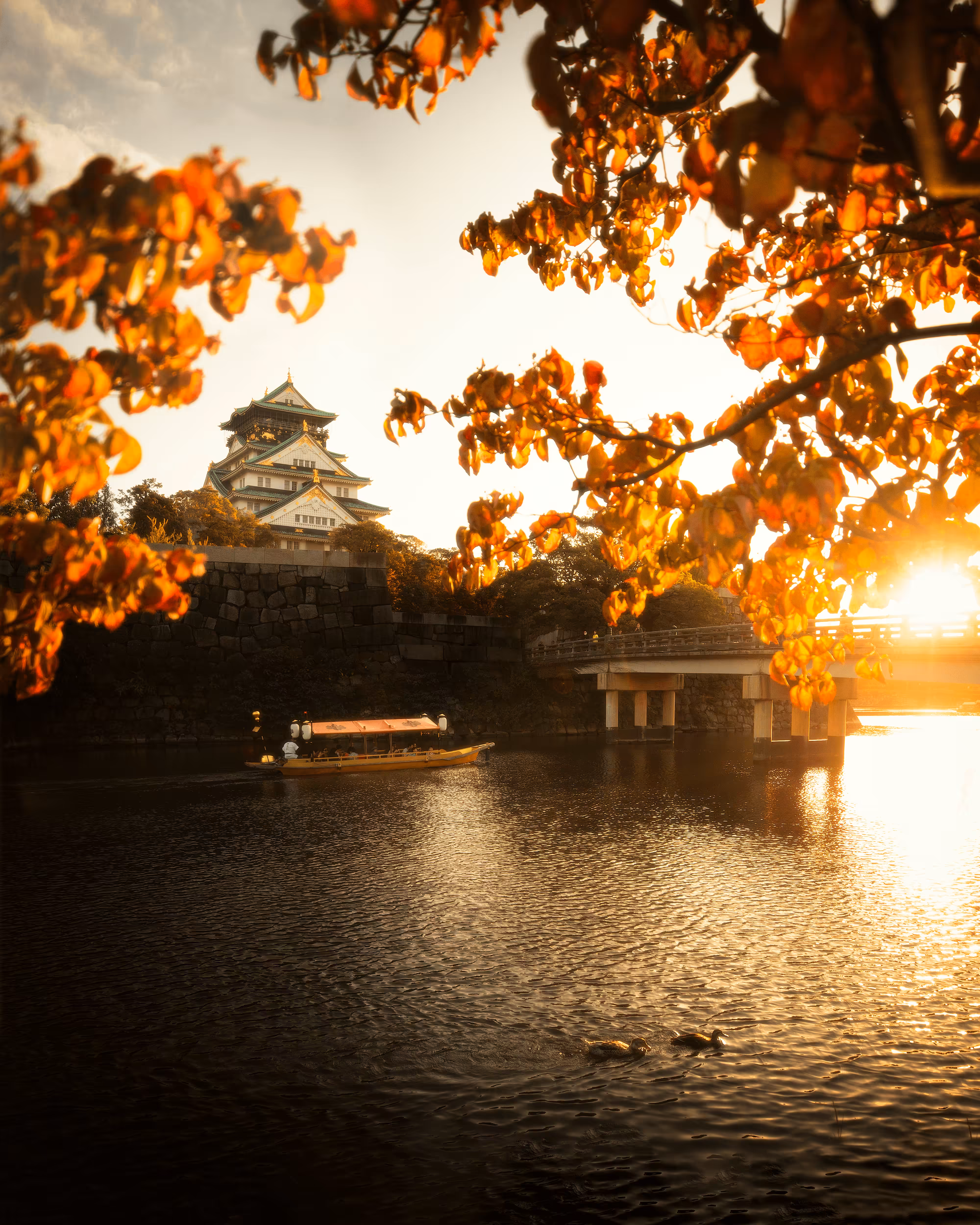#030 Fall in Japan