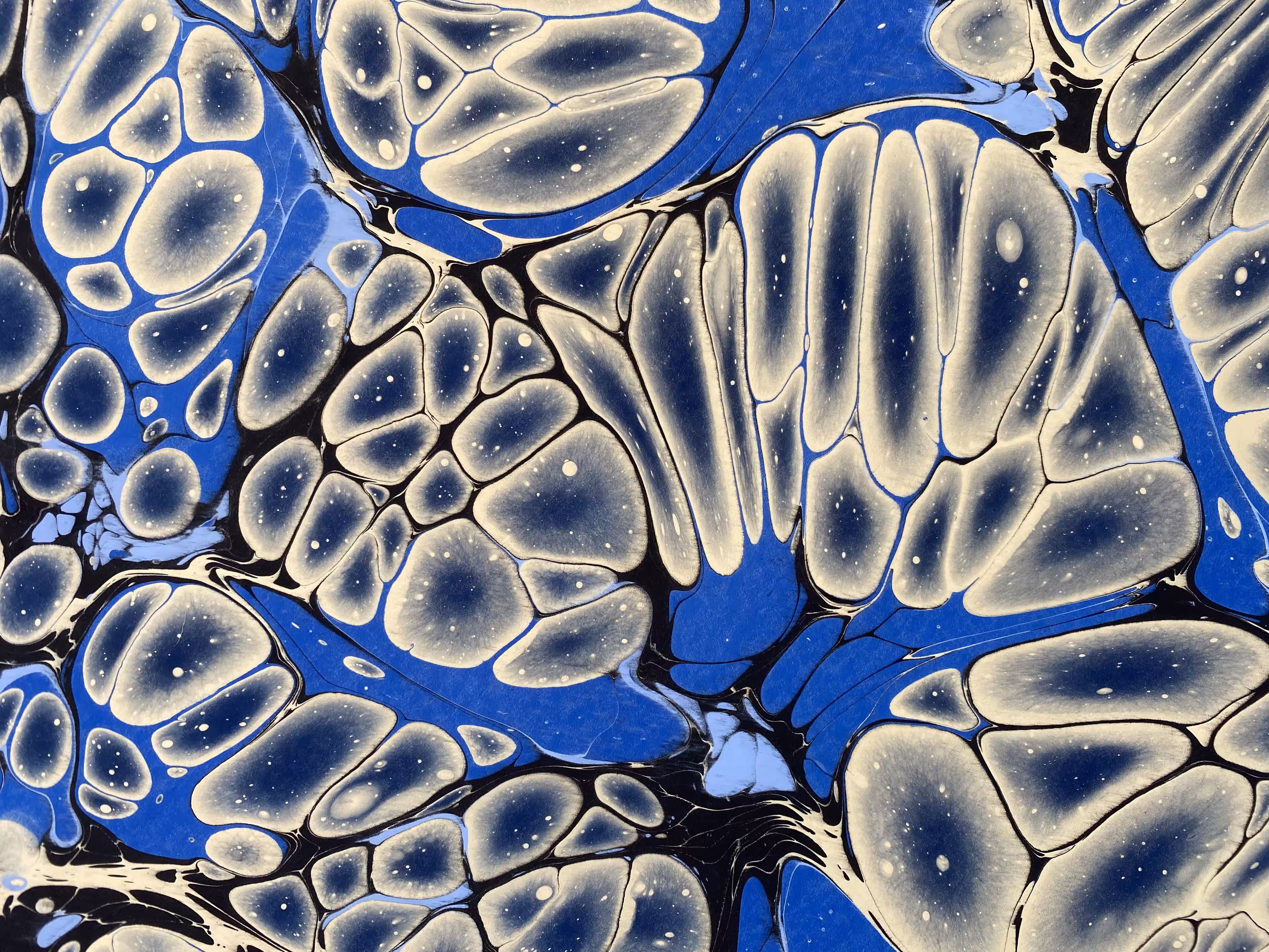 Battal Ebrû / Marbling Art SE #27