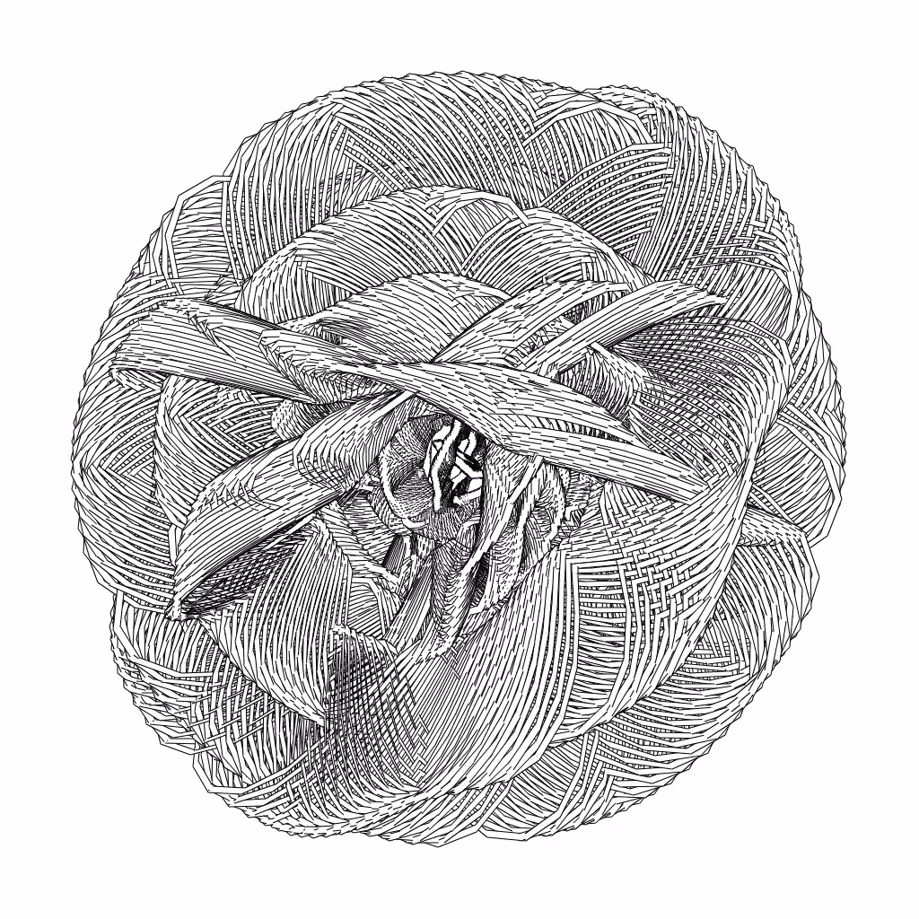 LL21 Entangled (3) #601