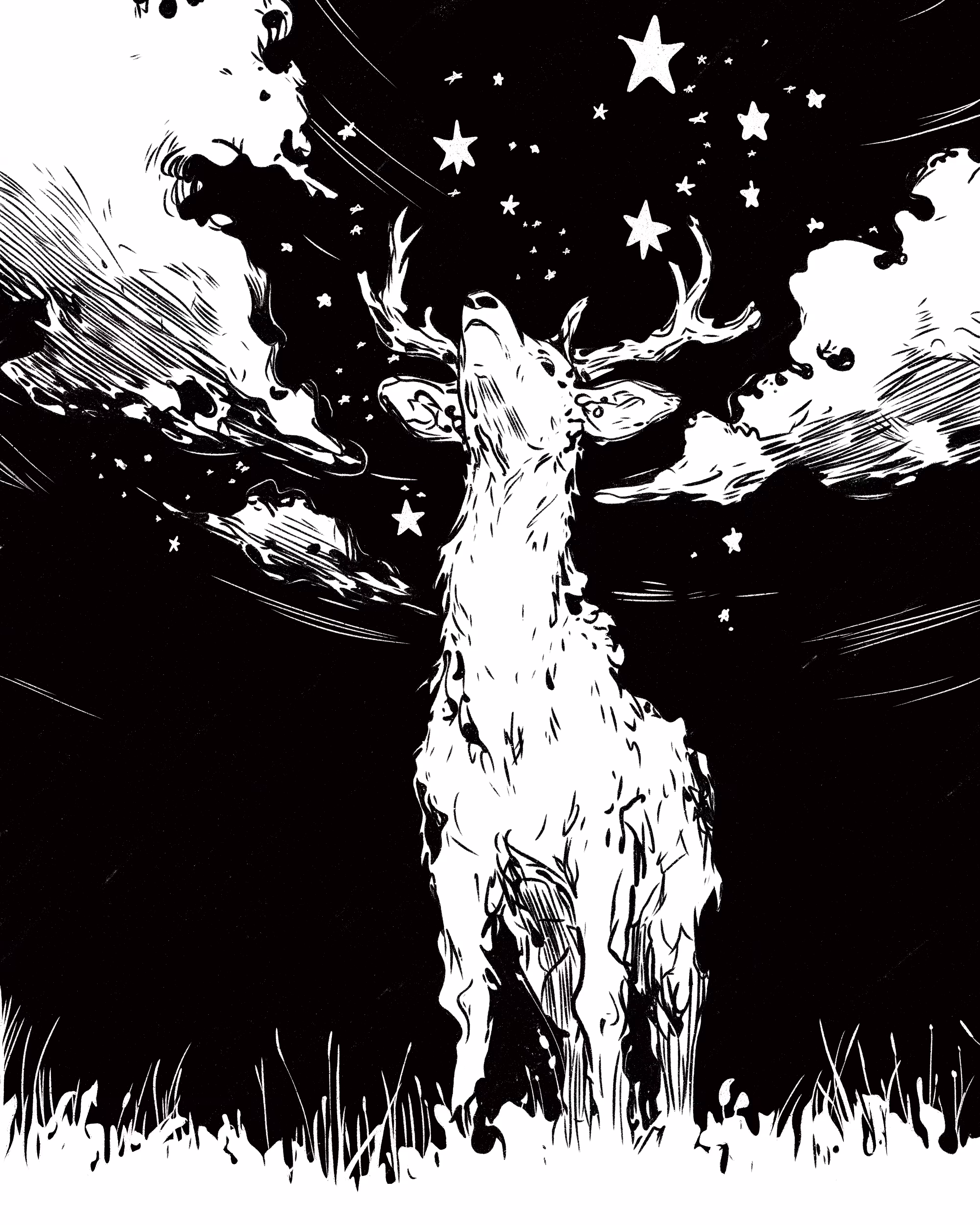 Deer - Day 5