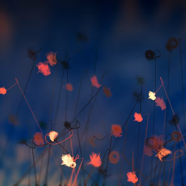 Cottongrass #42