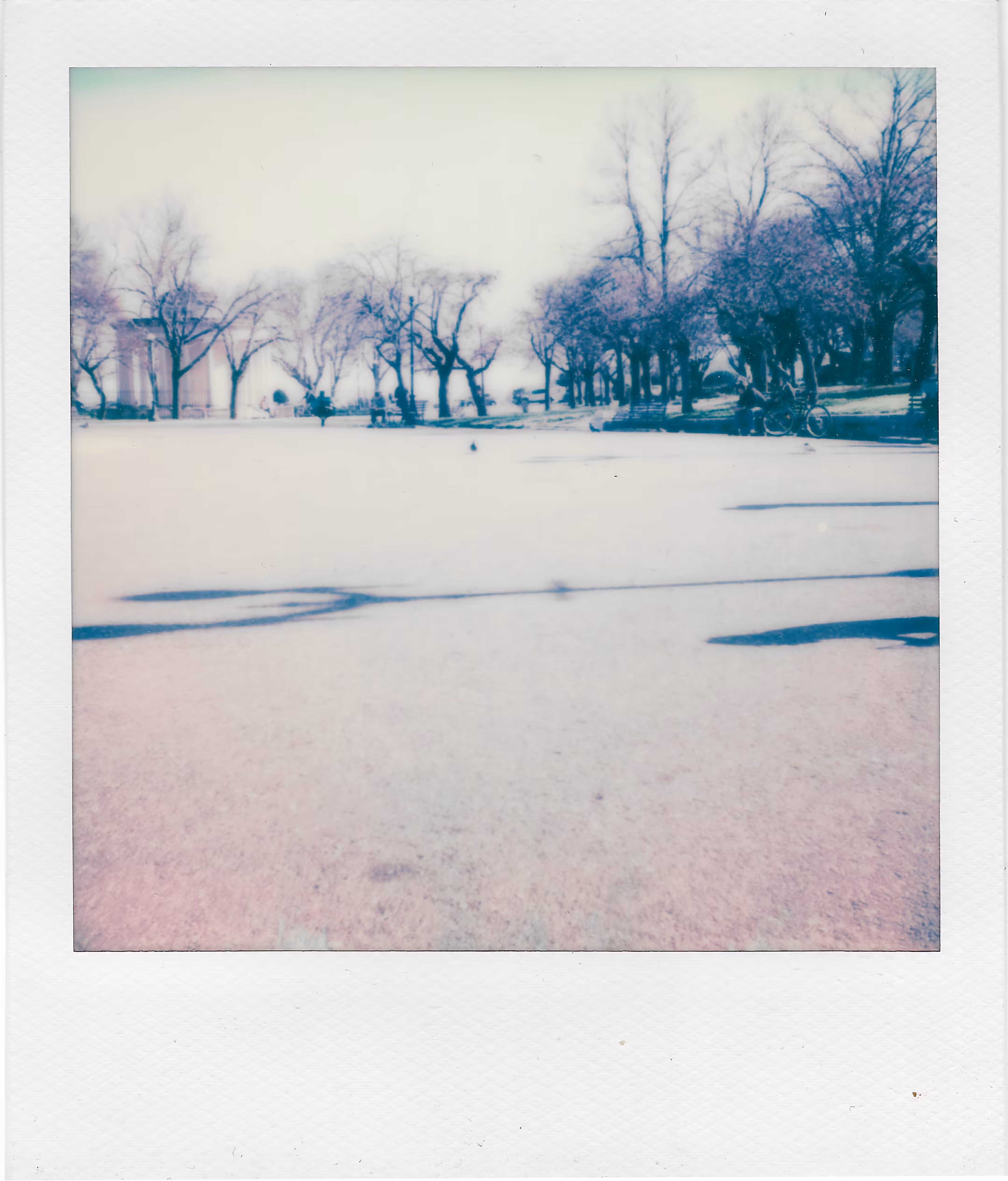 Untitled #1