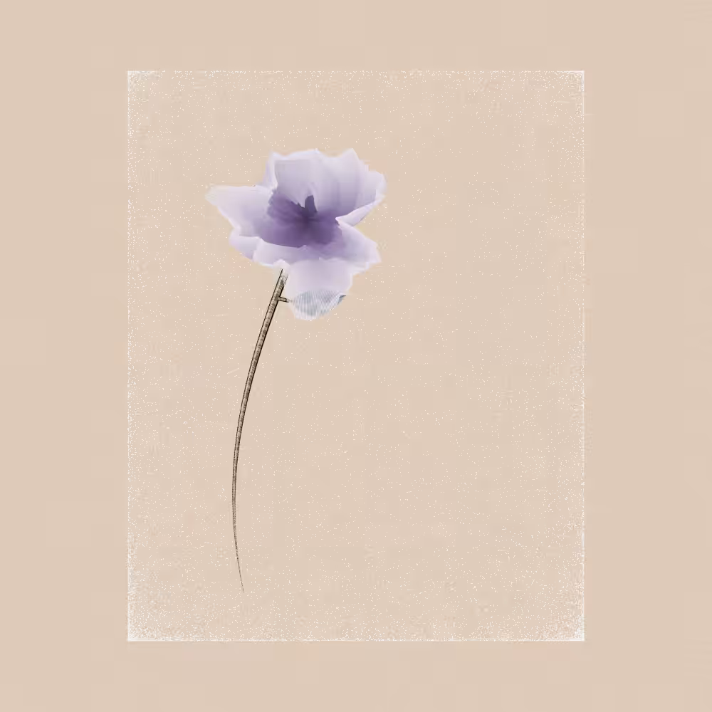 Magnolia #19