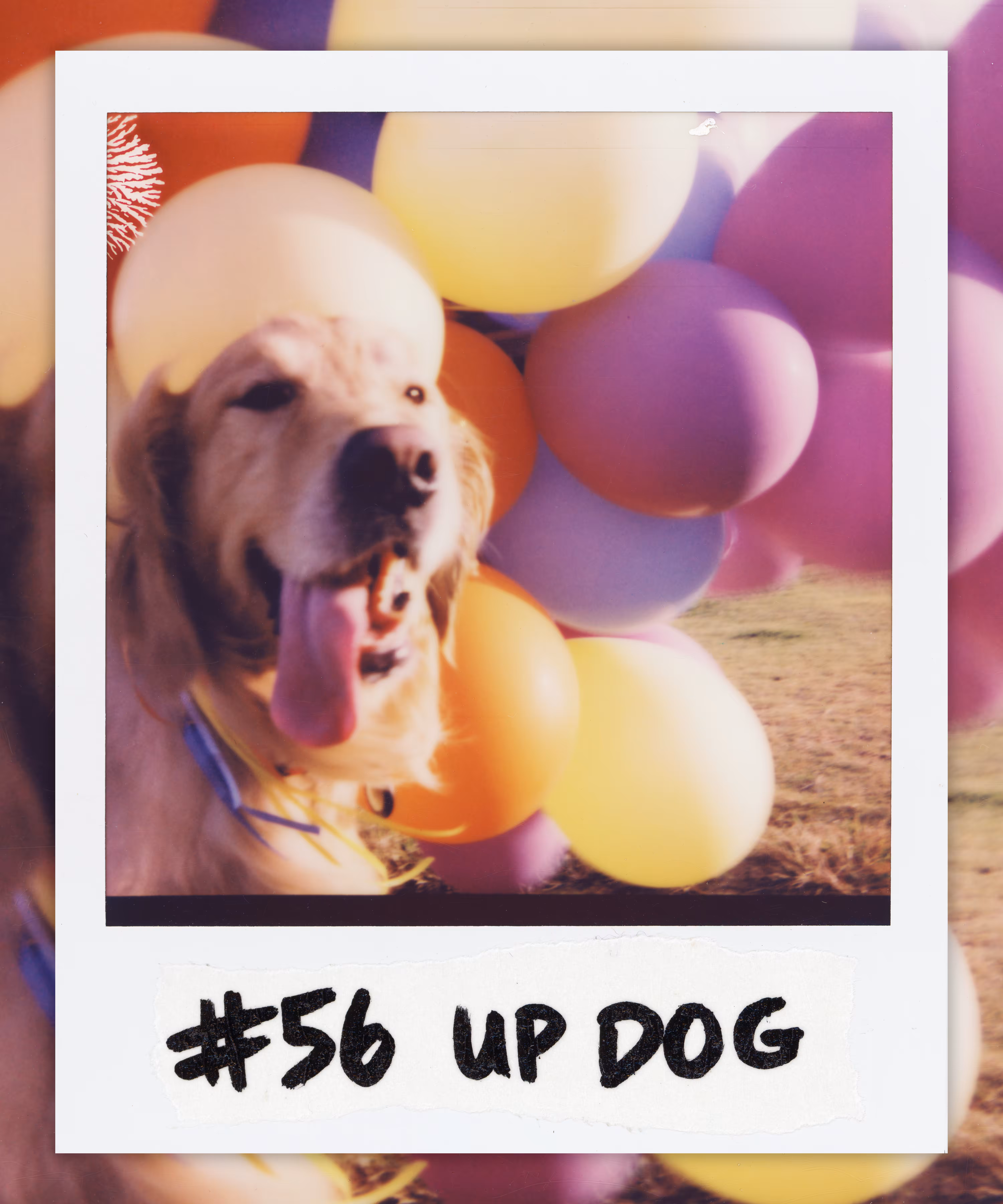 #56 UP DOG