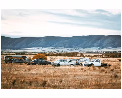 junk yard dreams