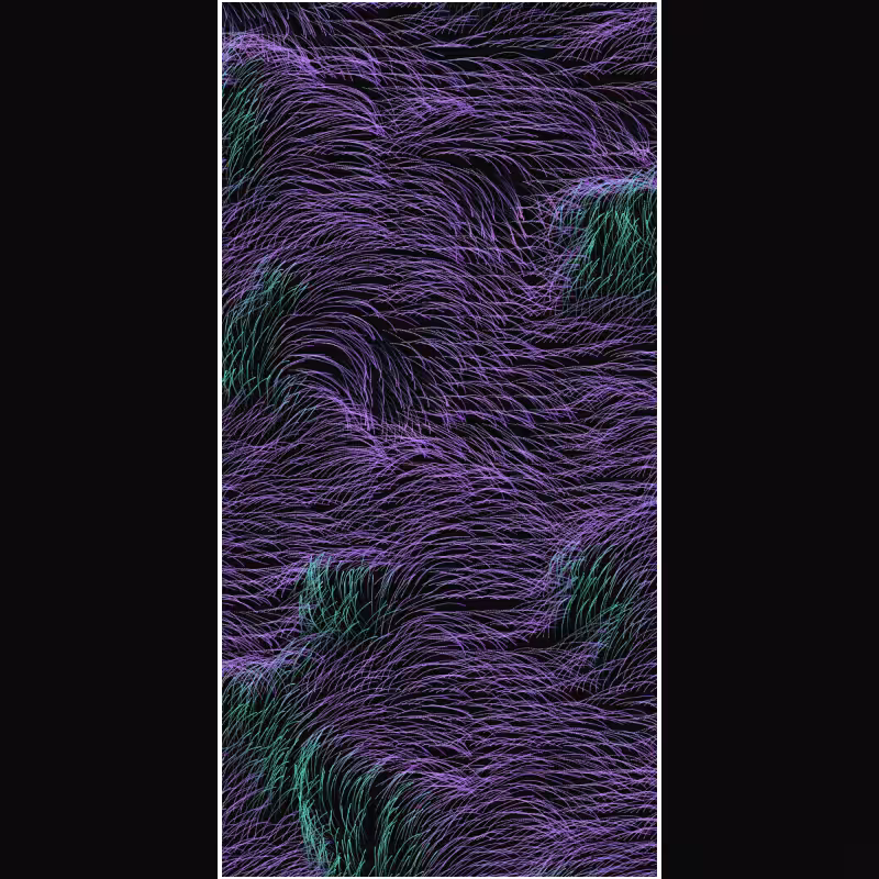 Tamed Quantum Foam #19