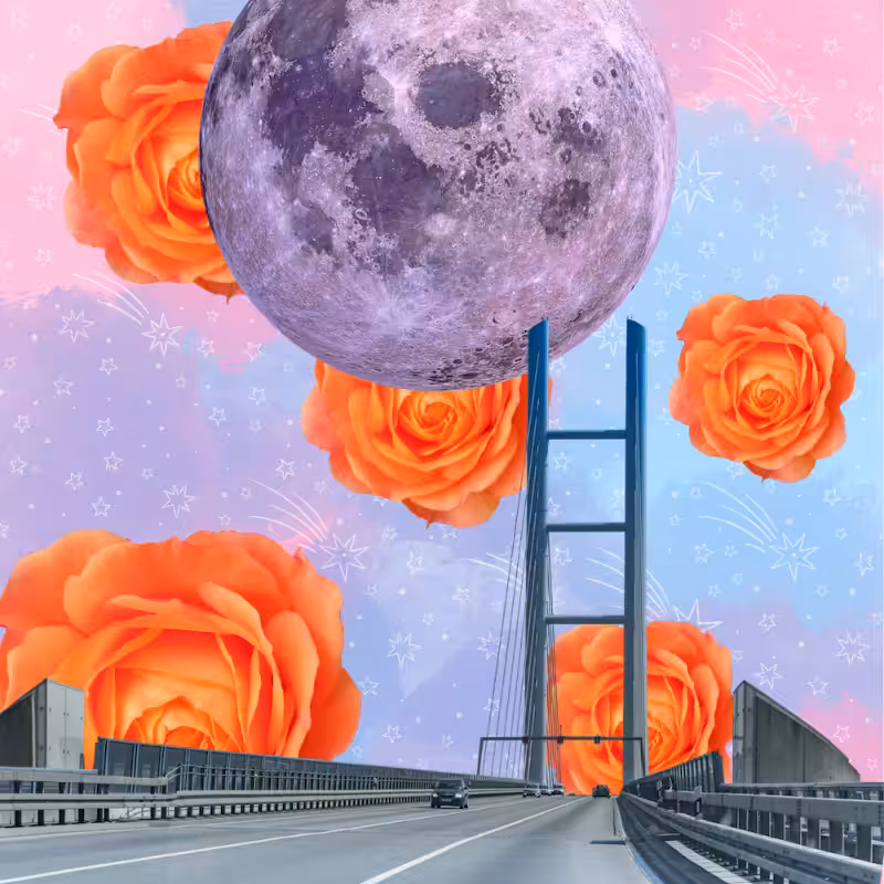 Pink Moon #42