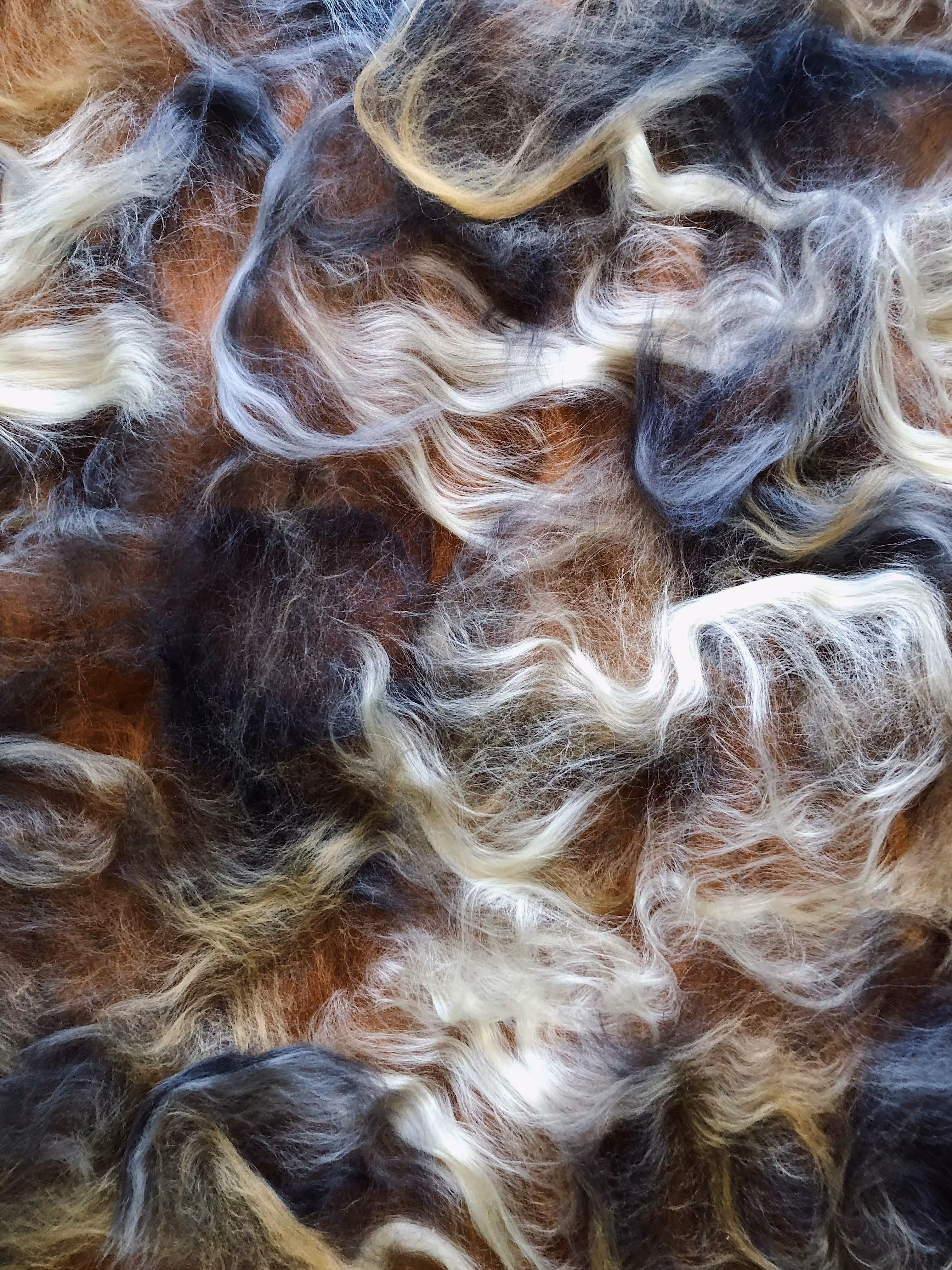 Painting with wool