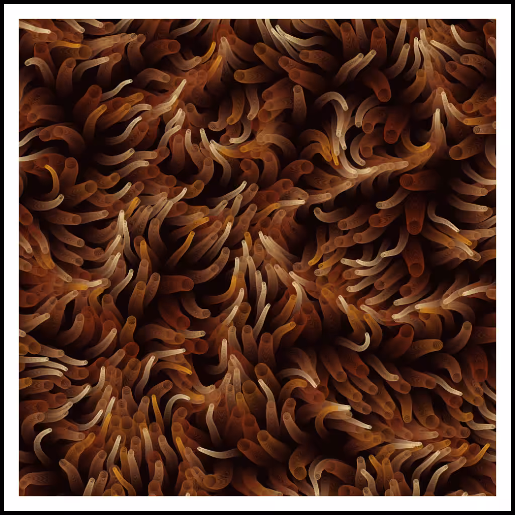 Studies of Motion  #33