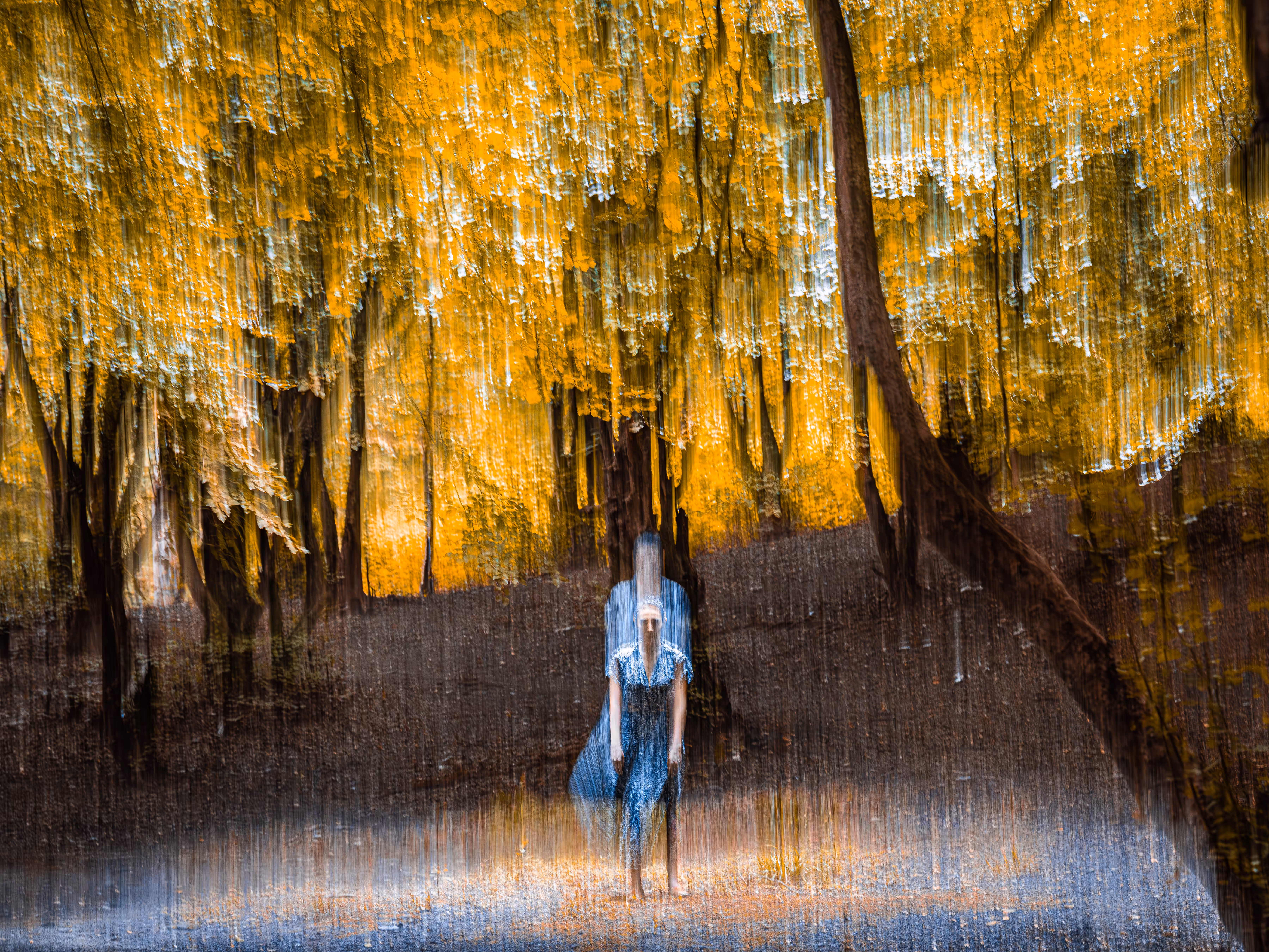 Enter The Void: The Solitary Dreamer/02