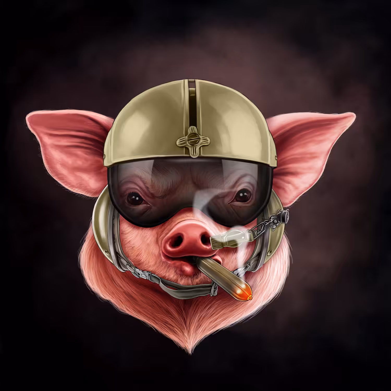 fighter pilot   pig#034