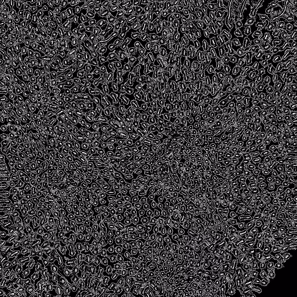 Noise #308 