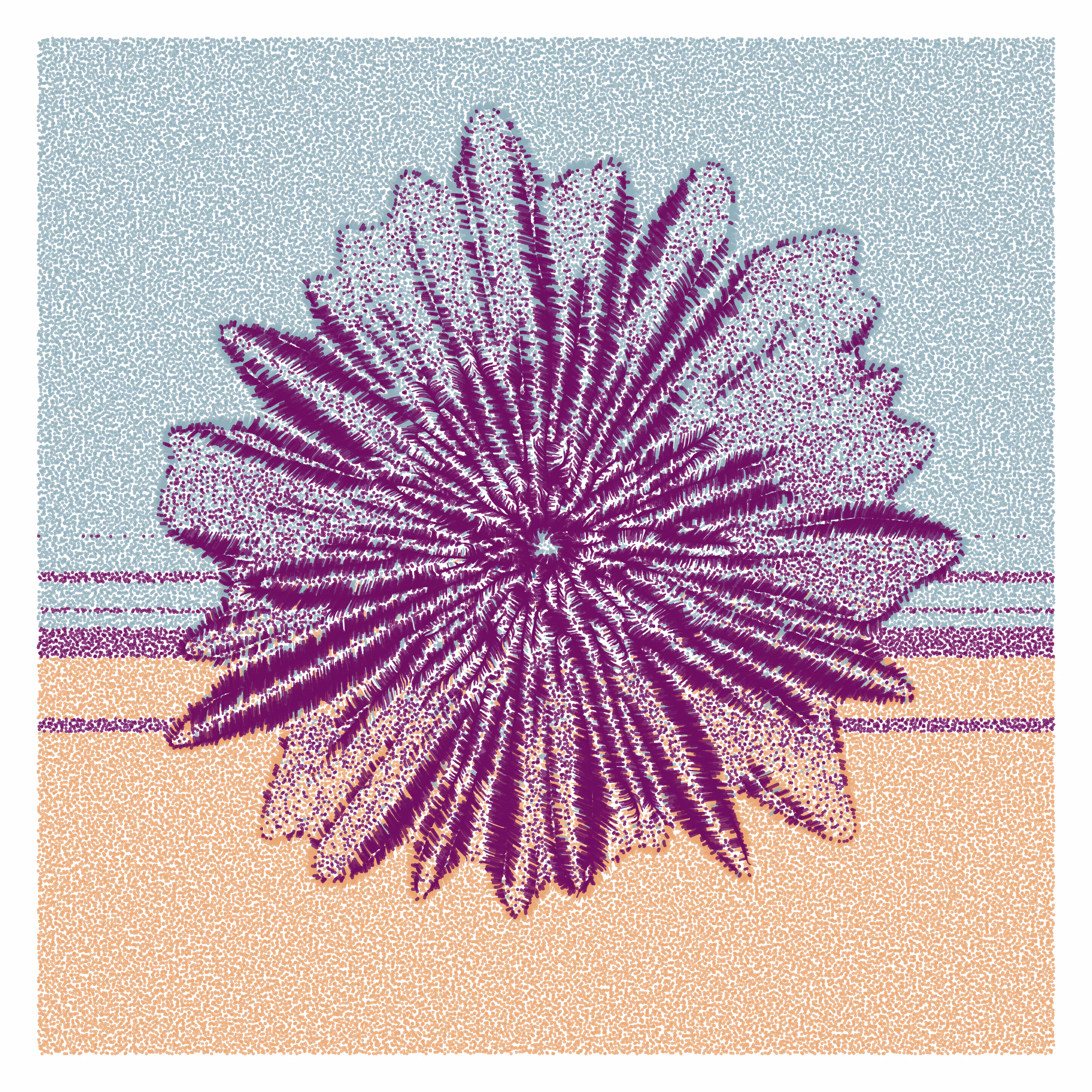 Flower Portrait #15