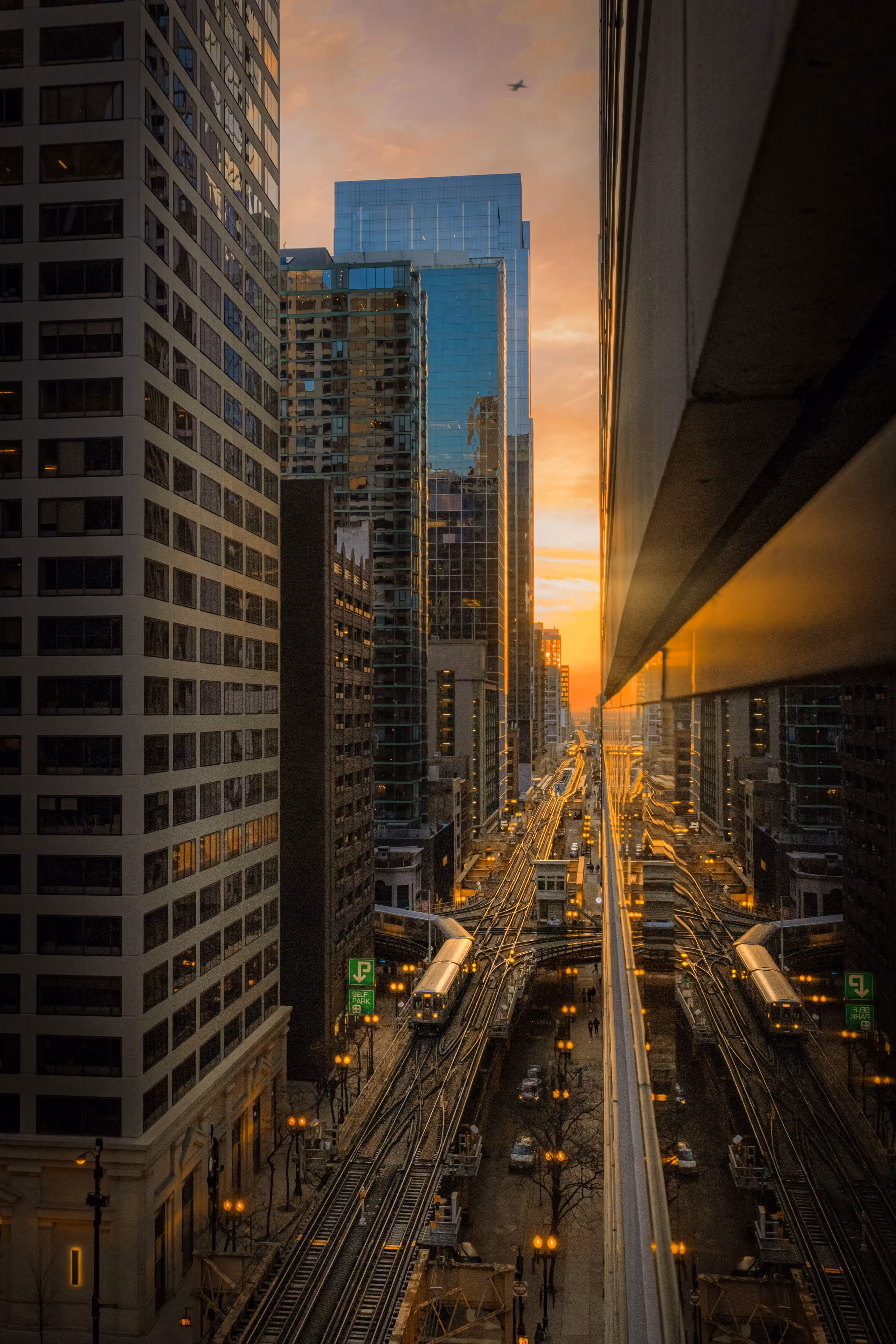 Chicago Dreamline