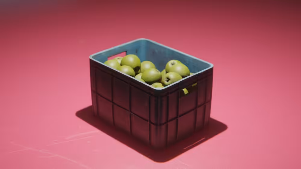 Fruit Basket #1