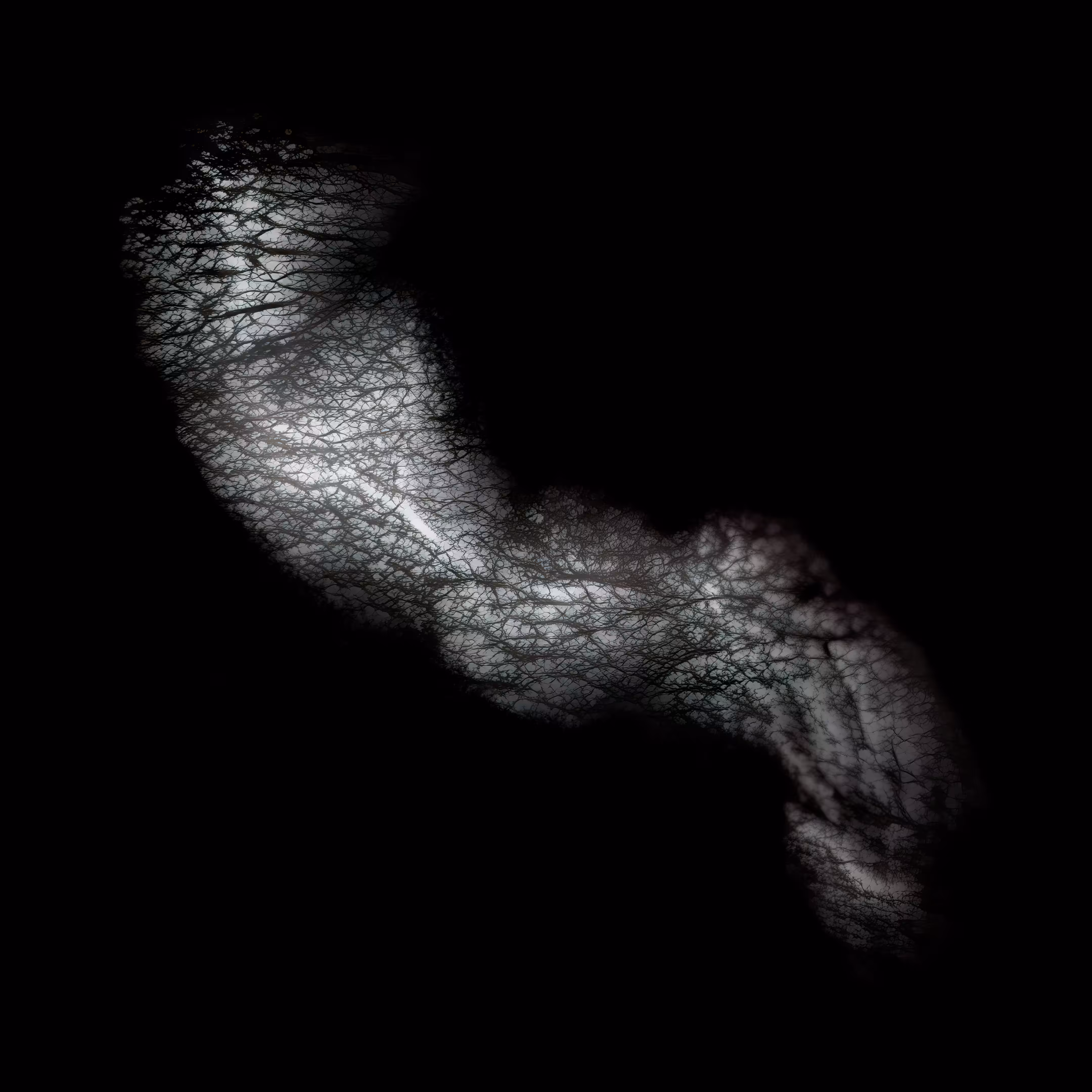 Recherché Remains #6