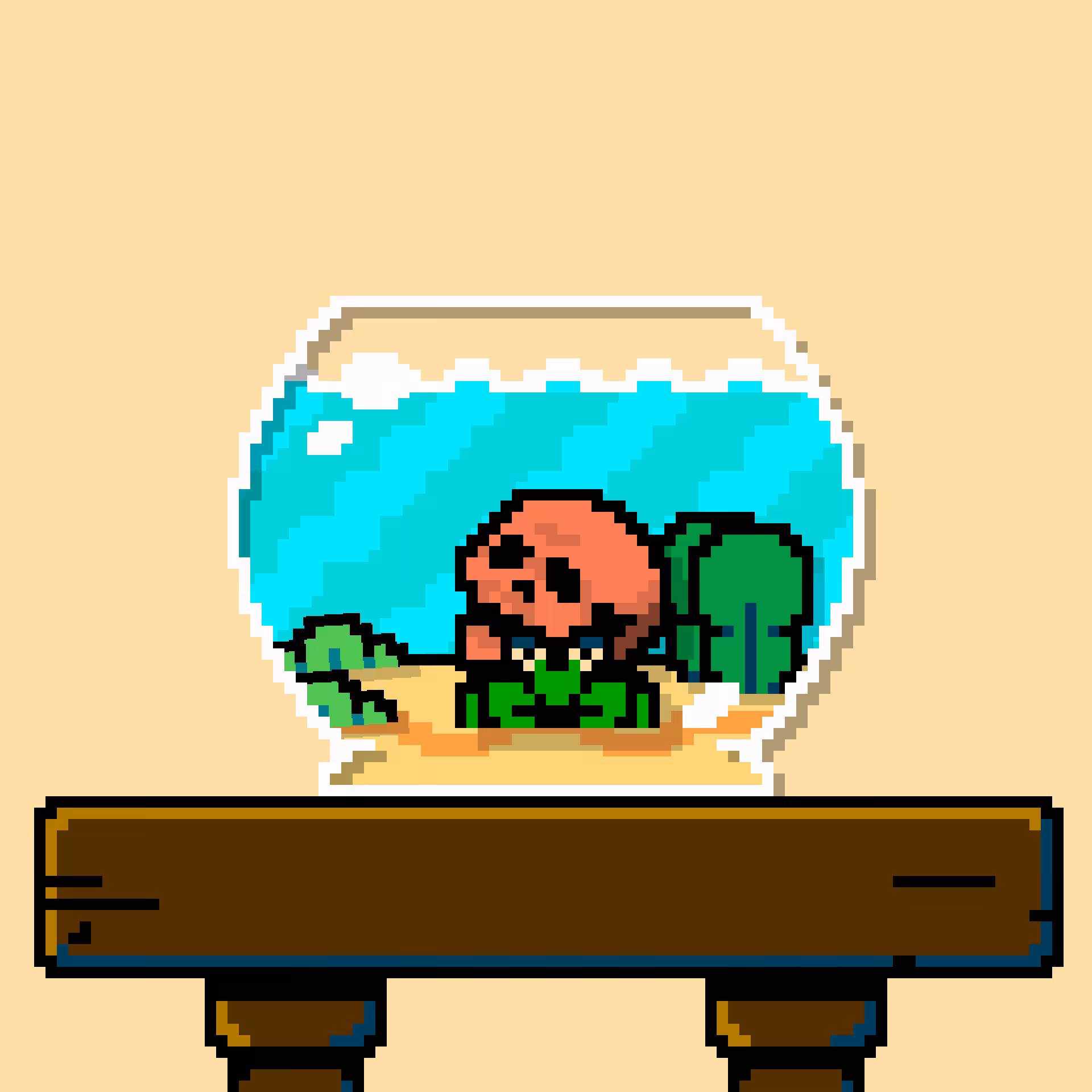 hermit crab #11