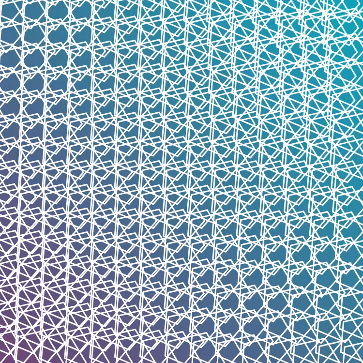 bilinearInterpolationTwist #13