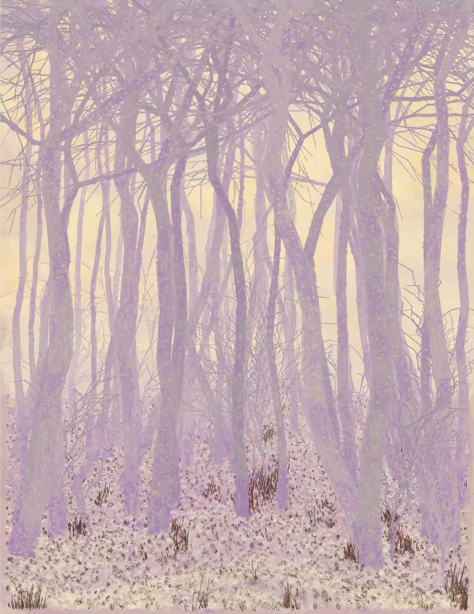 Deep Forest #29