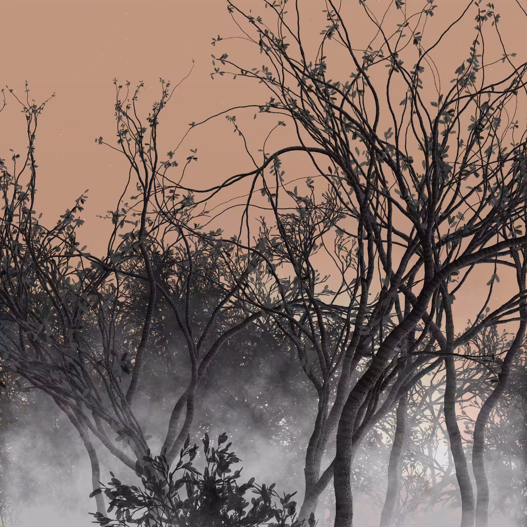 Morning Mist #234