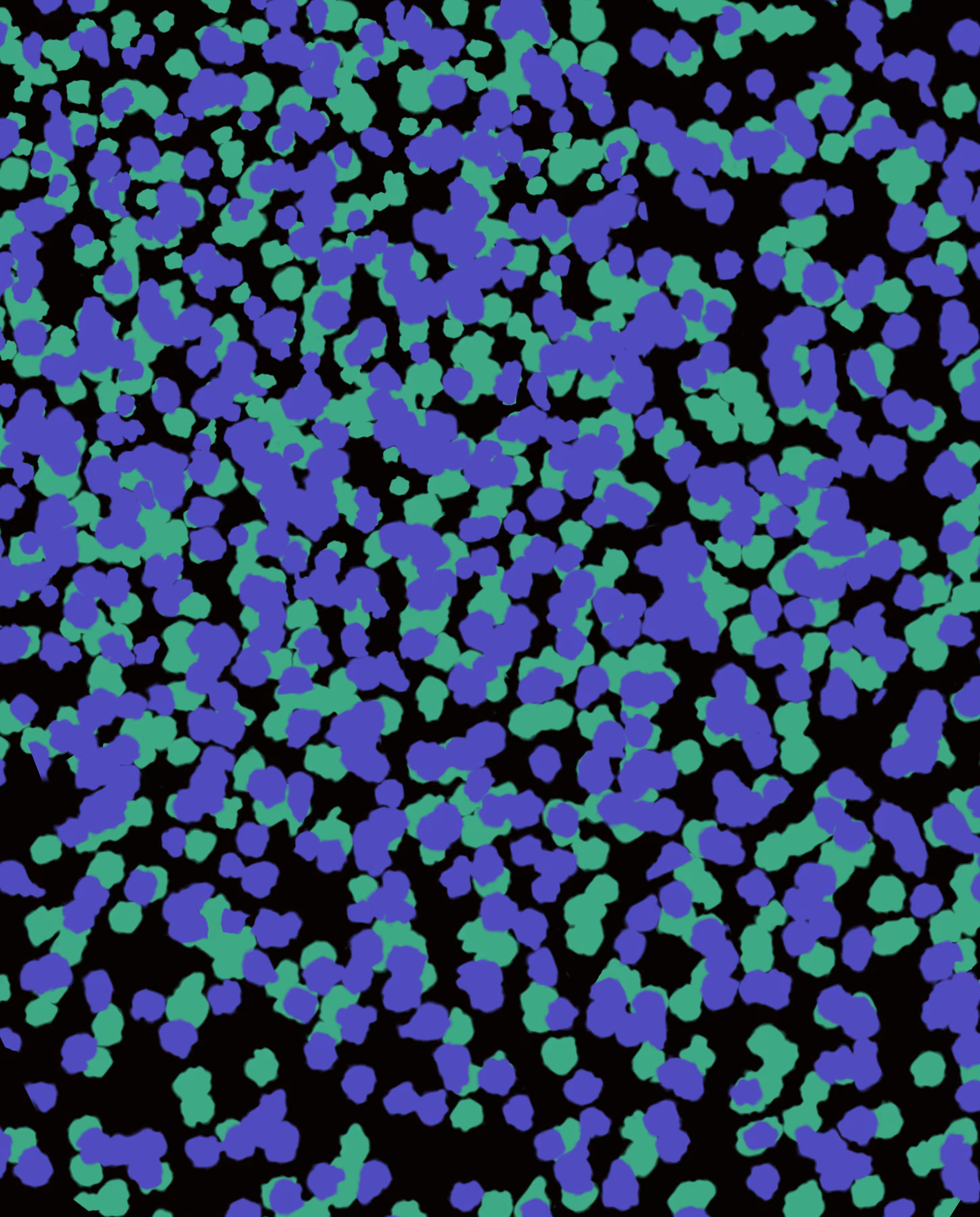 Atomic fragments #022