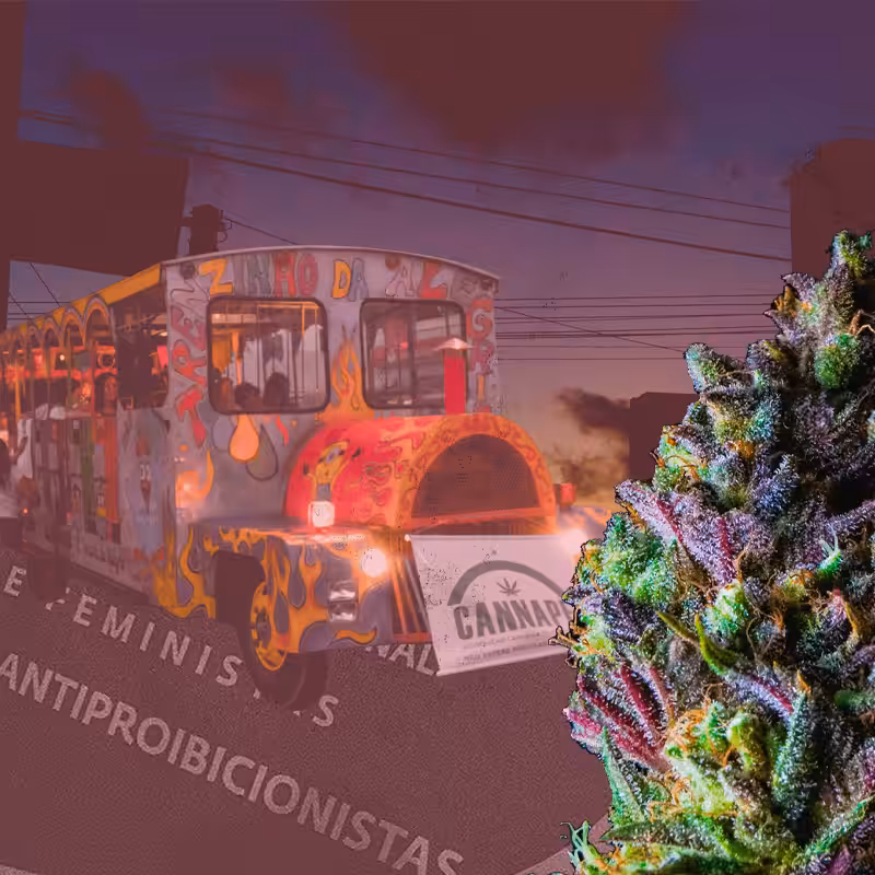 marijuana march #14