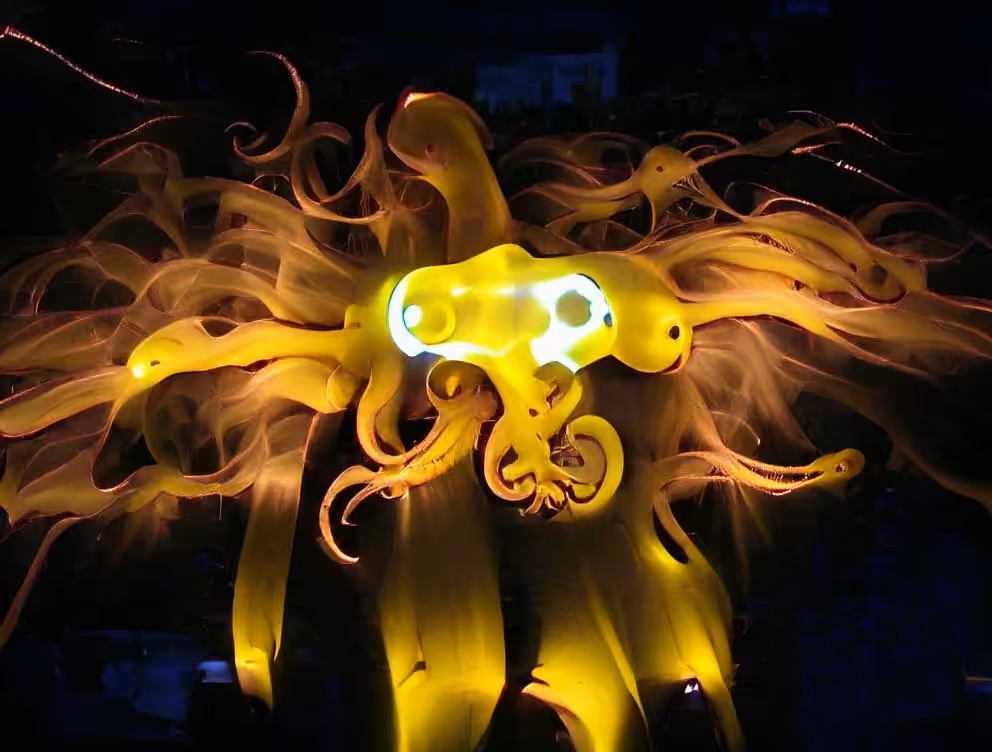 octopus explosion
