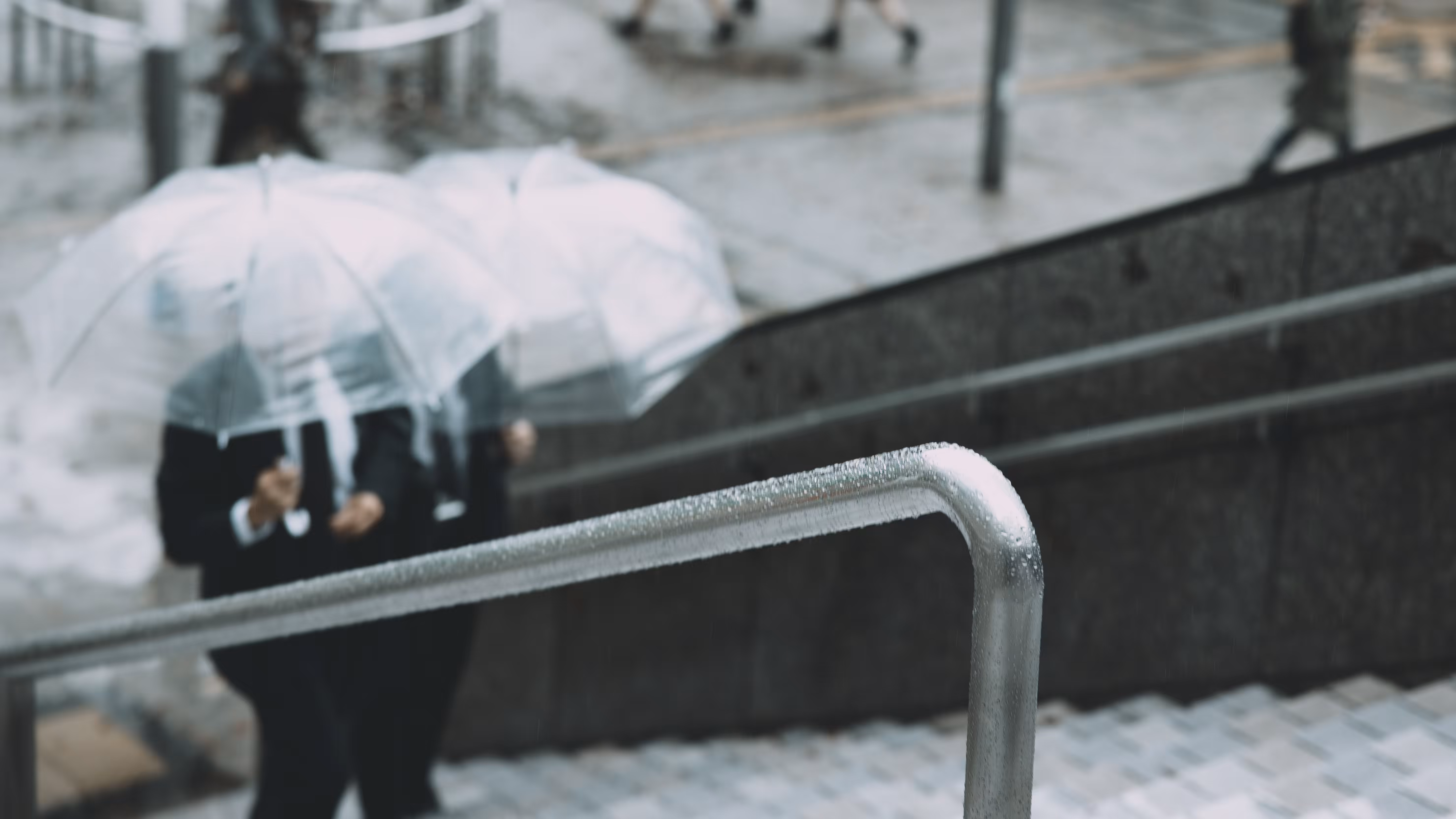Rainy Day in Shinjuku (Part 2)