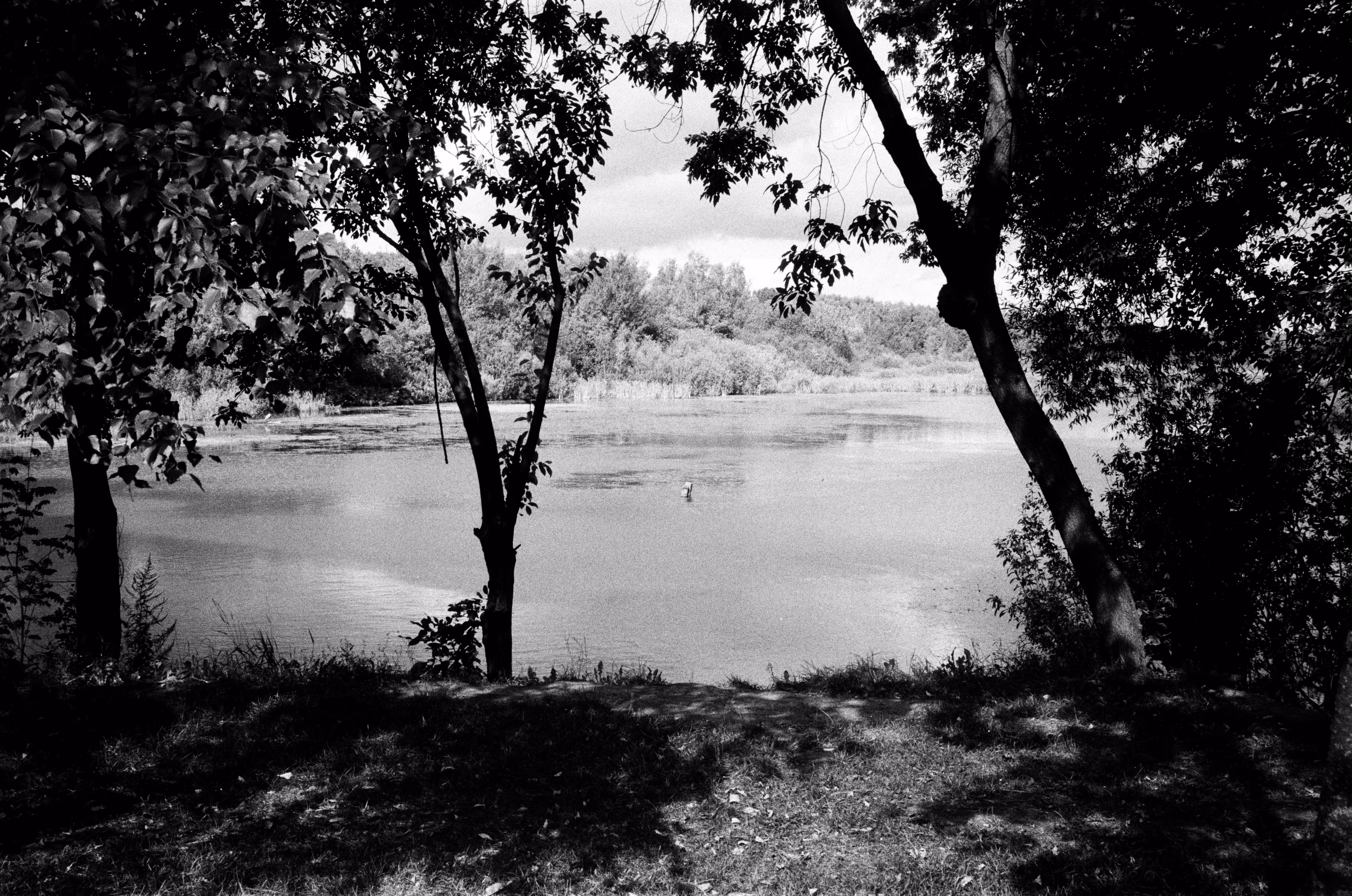 Late Summer