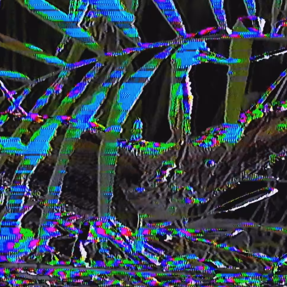 vhs dream 0237