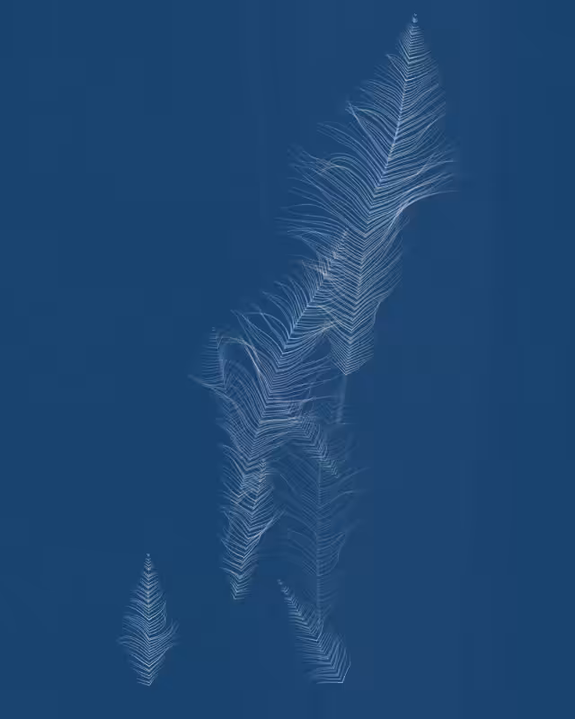 Cyanotypes #60