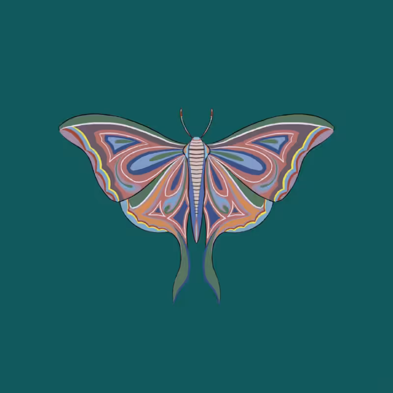 The Moth Experiment 2.0 P2 #1