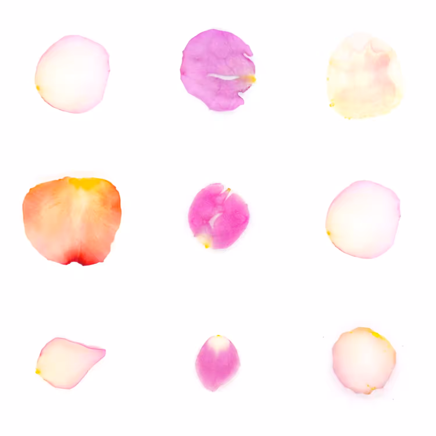 Infinite Petals 3x3#20108