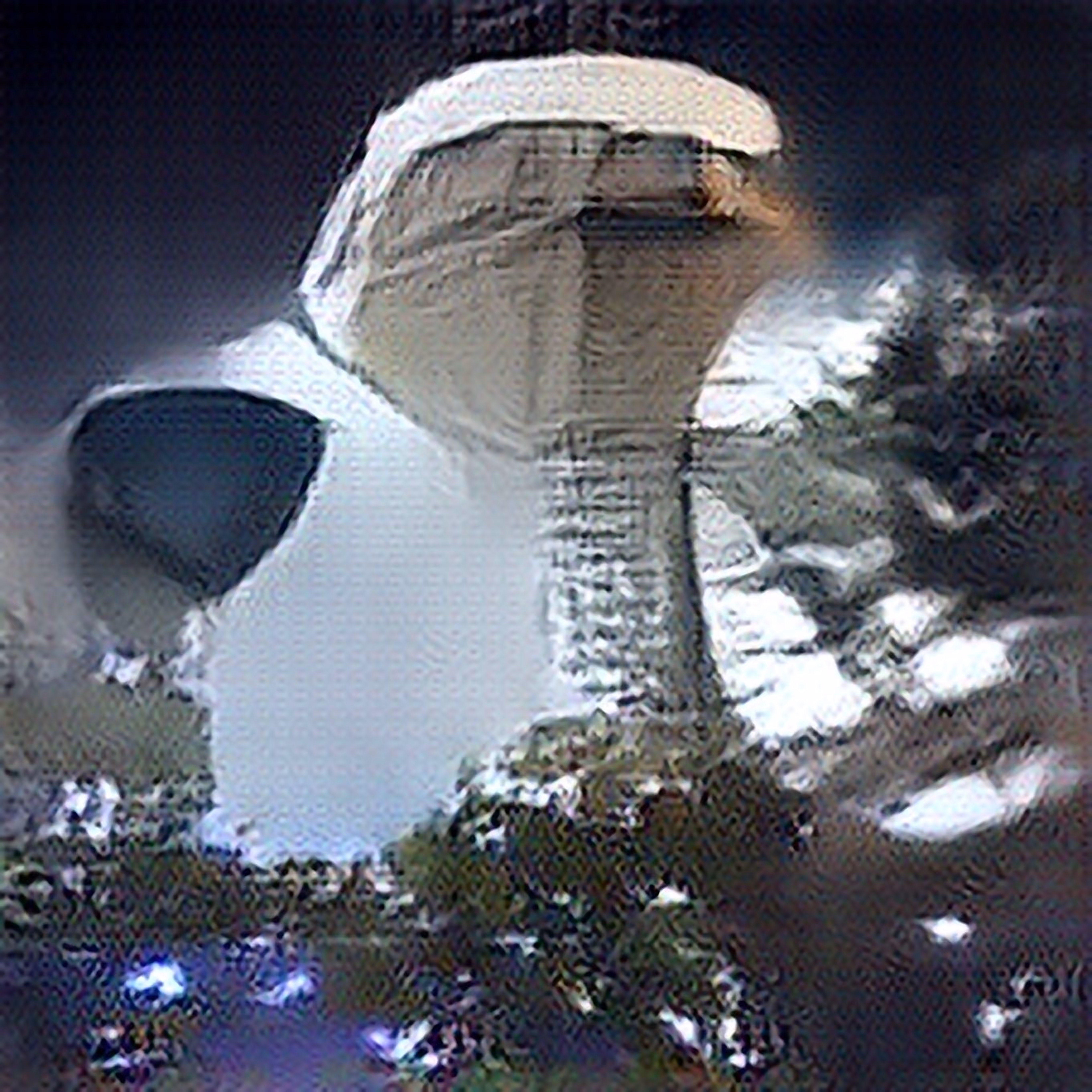 RaiSR RuiNS : RaiSR RuiNS_00095