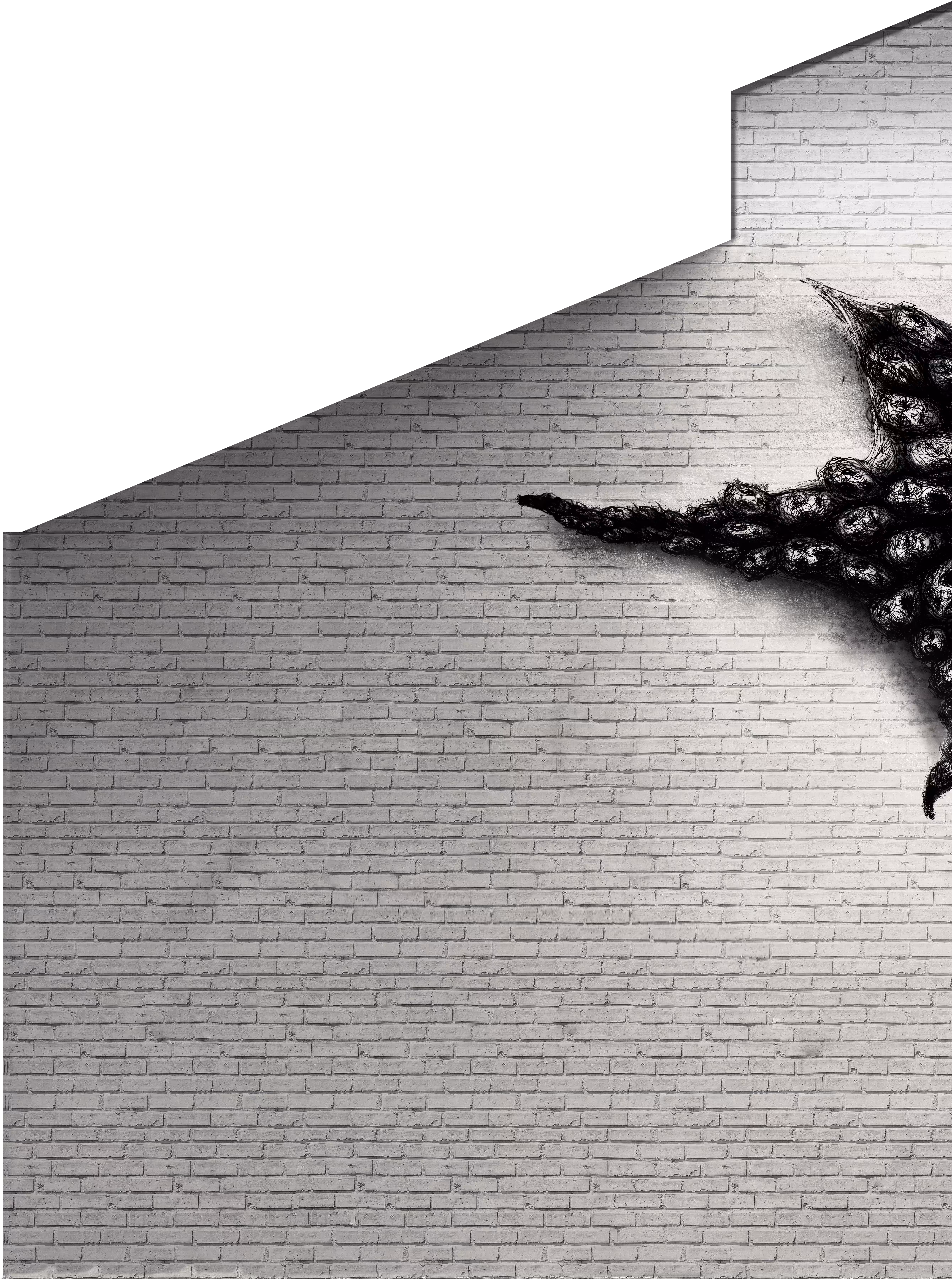 Wall 4