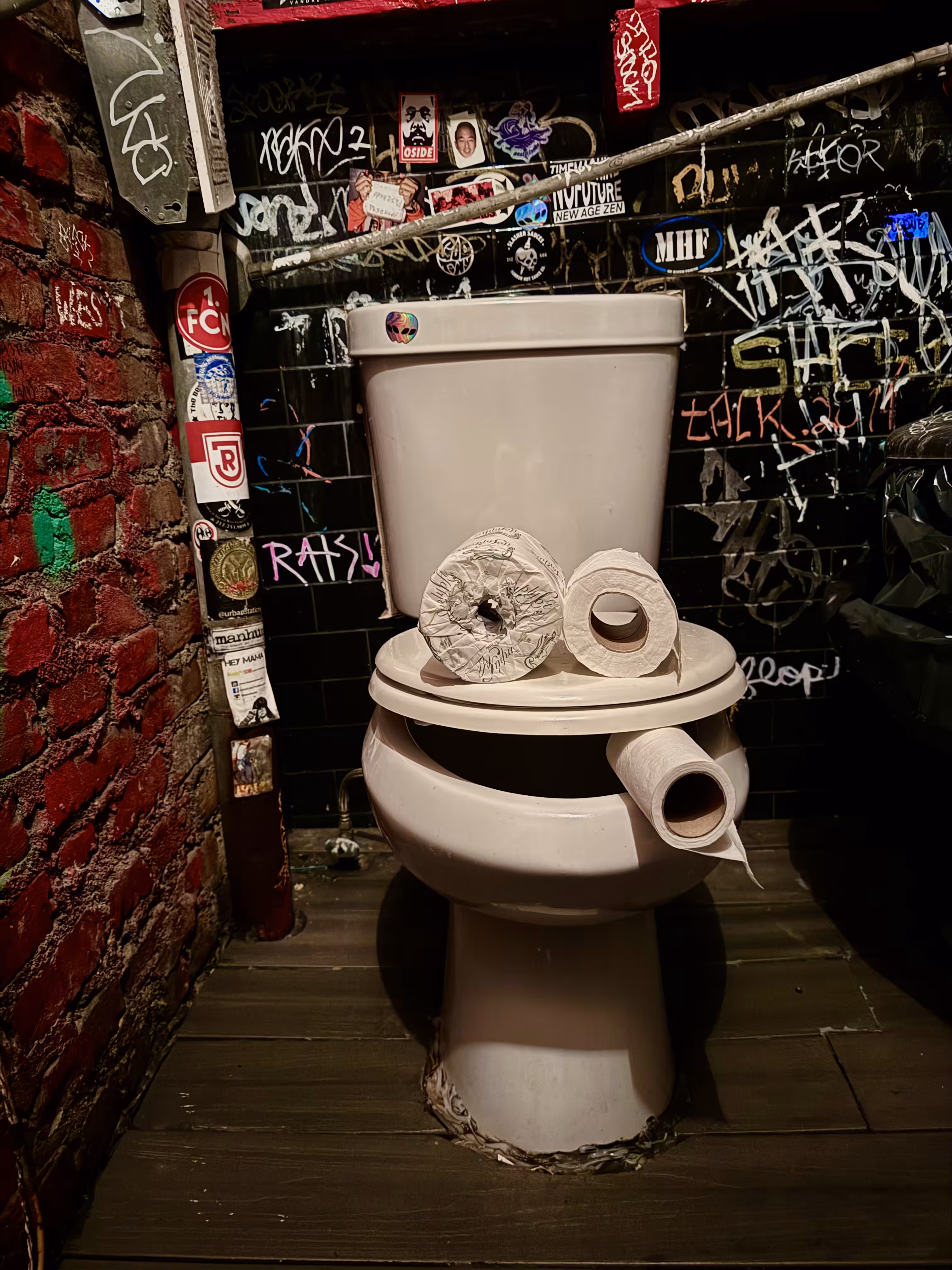 Pepe Toilets NYC #28