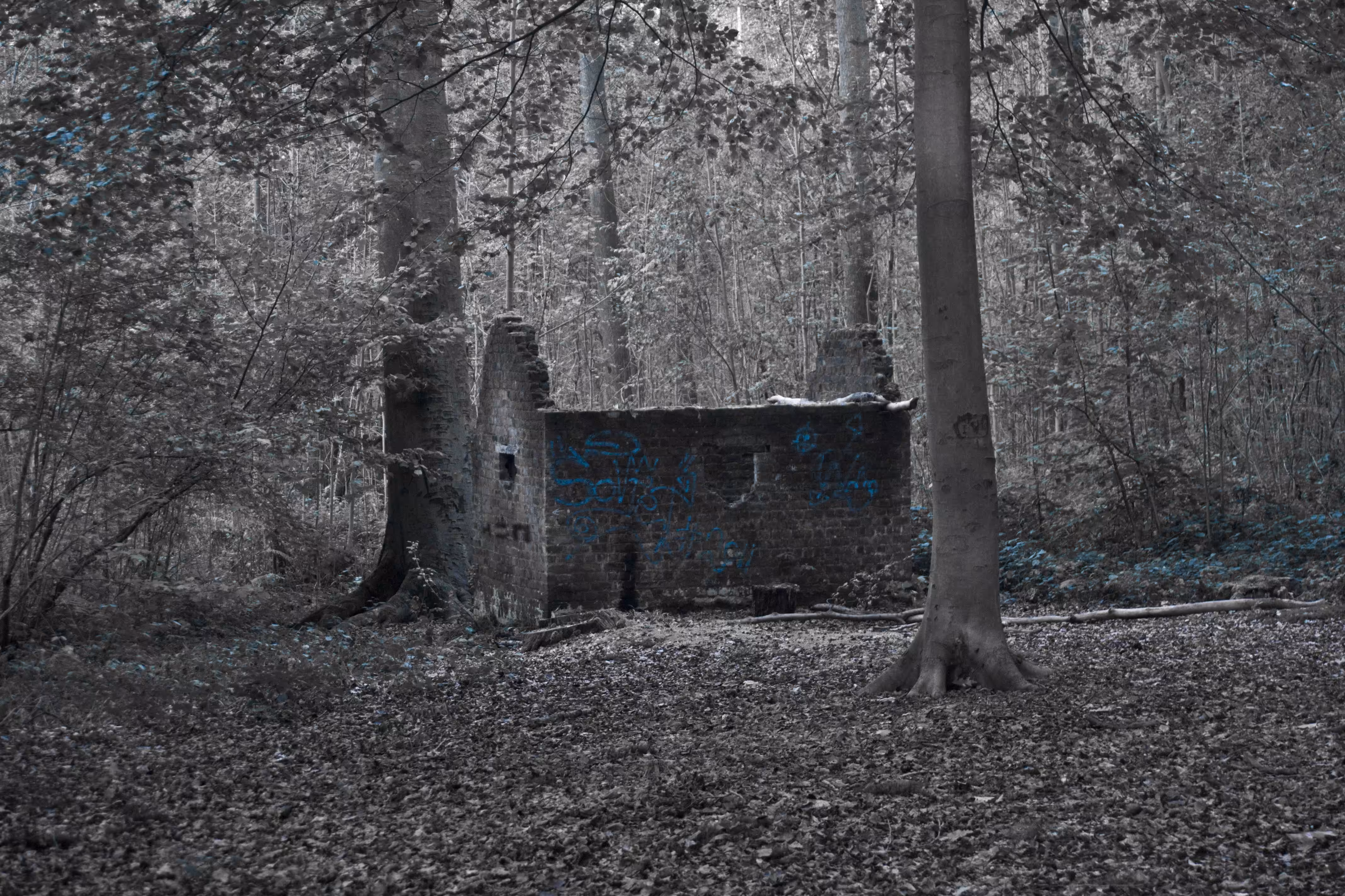 H=N-ted Ruins