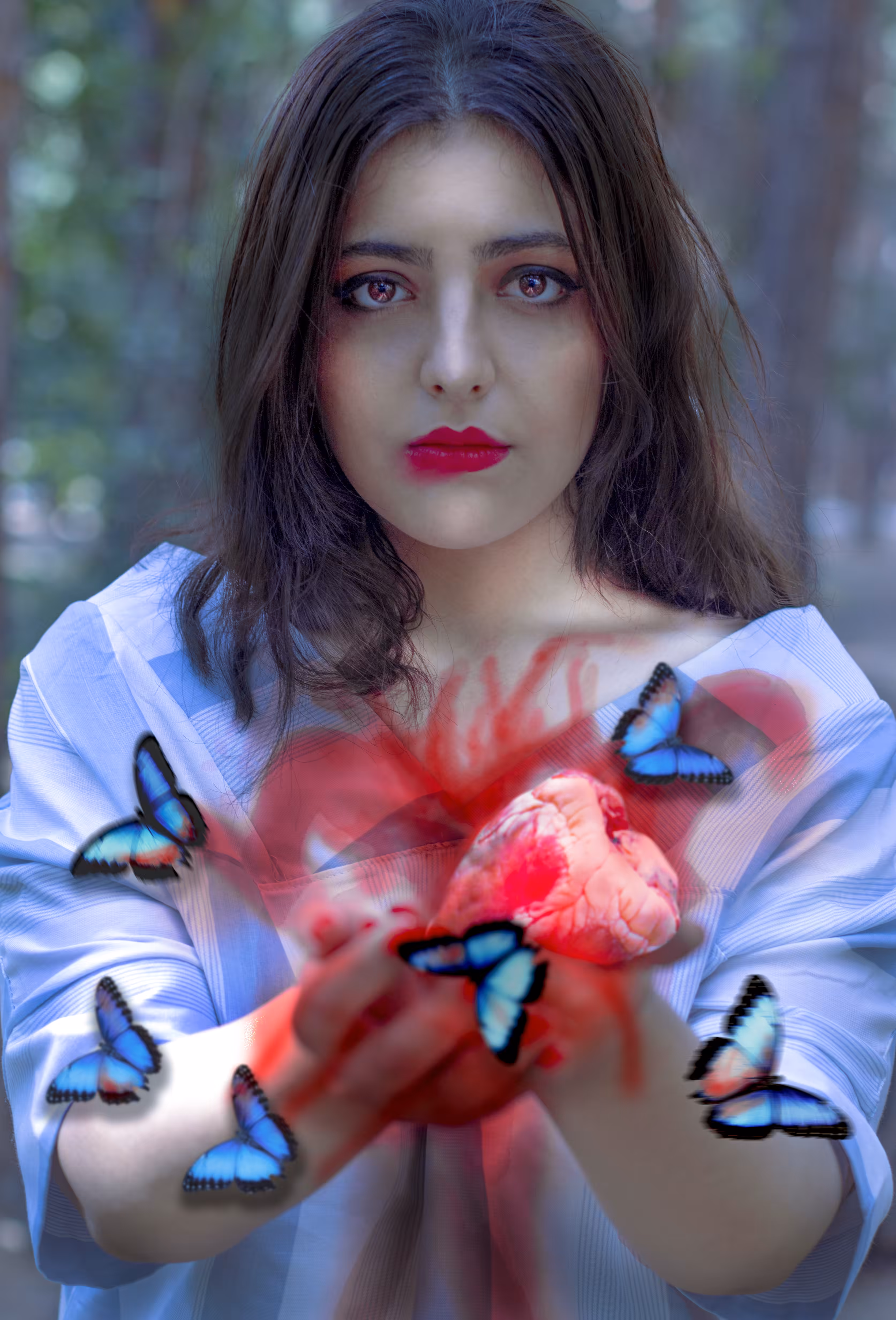 the heart giver