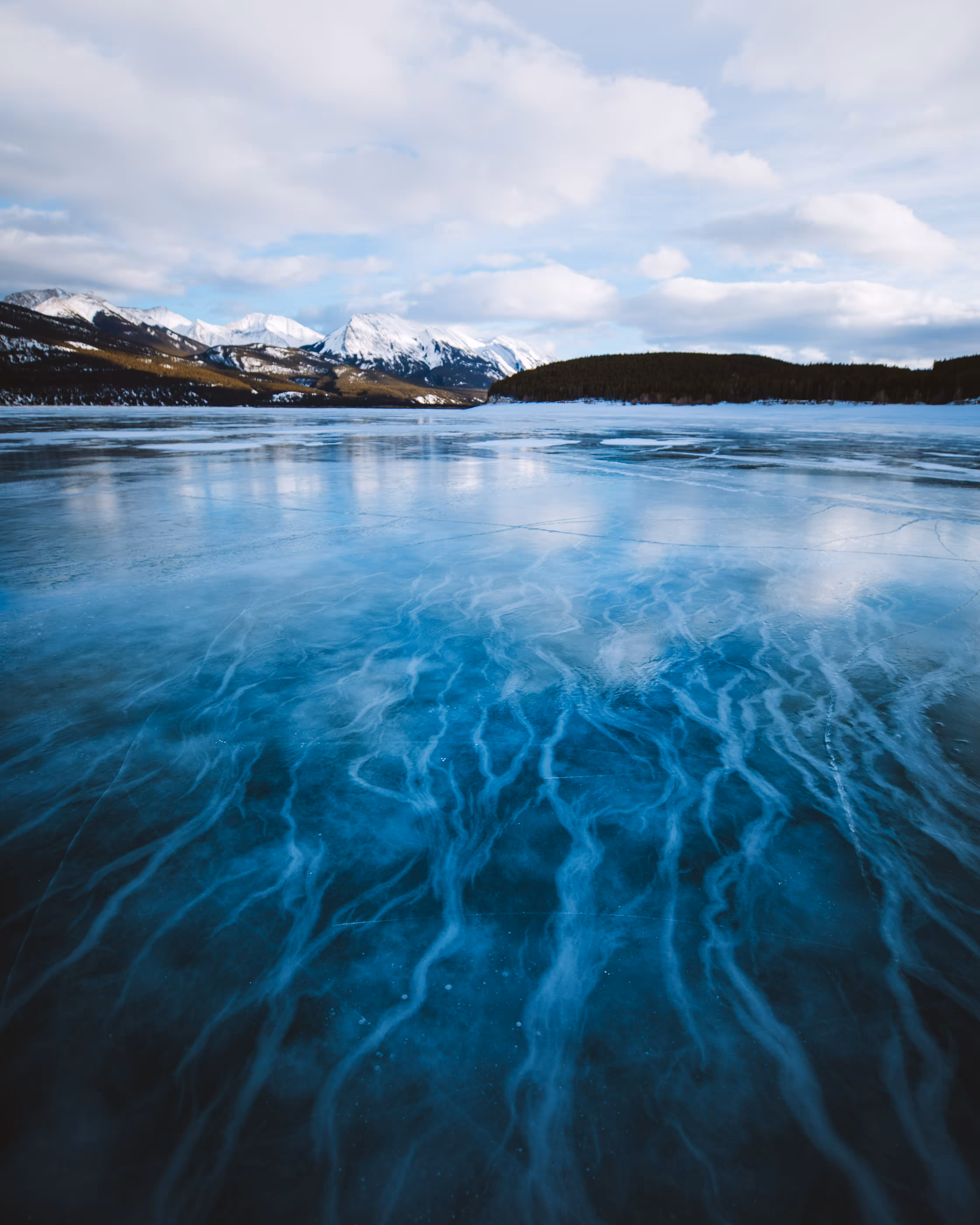 Veins of Ice